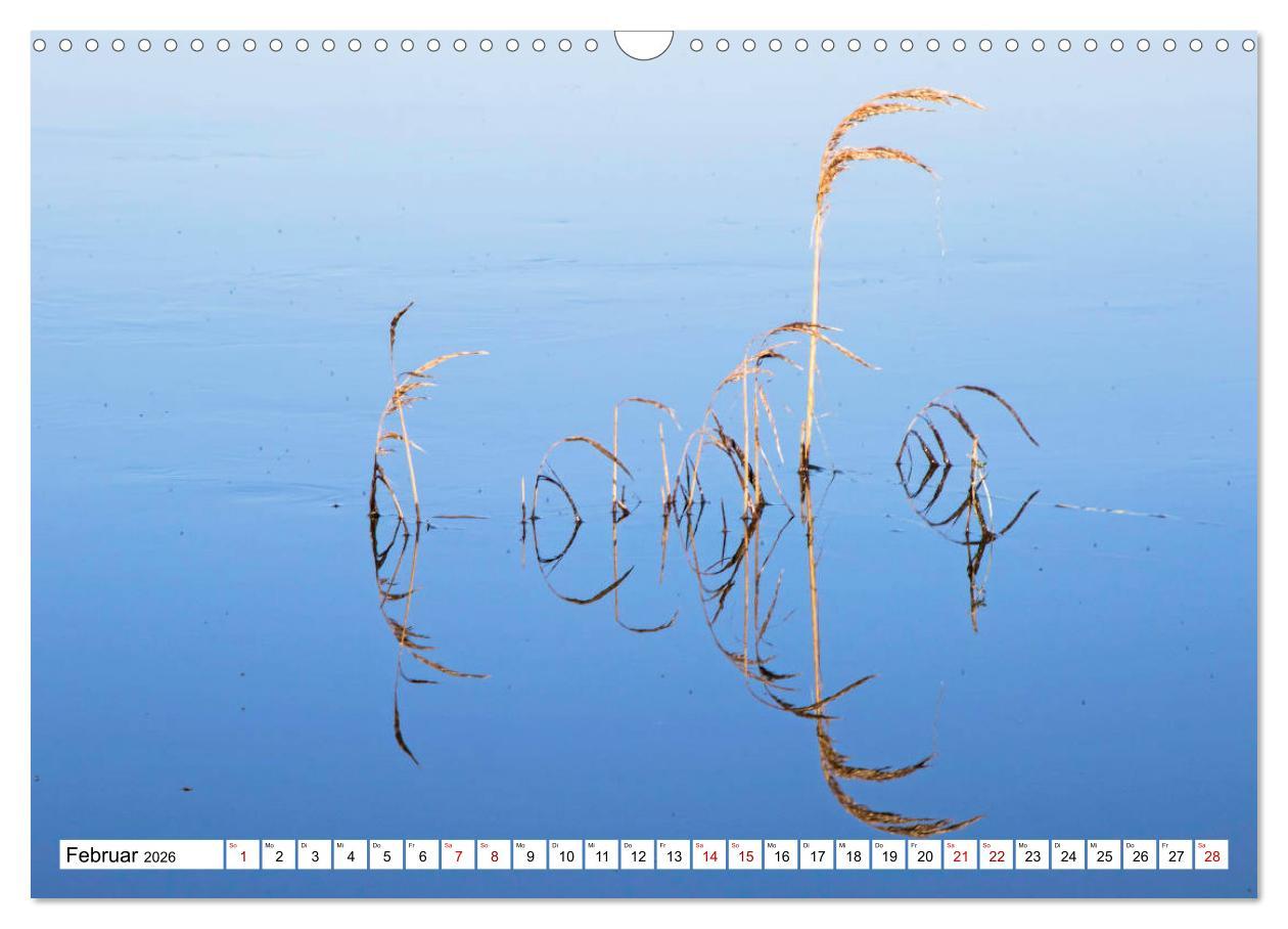 Beispielinhalt (Bild) Cotentin - unser Stück vom Paradies (Wandkalender 2026 DIN A3 quer), CALVENDO Monatskalender