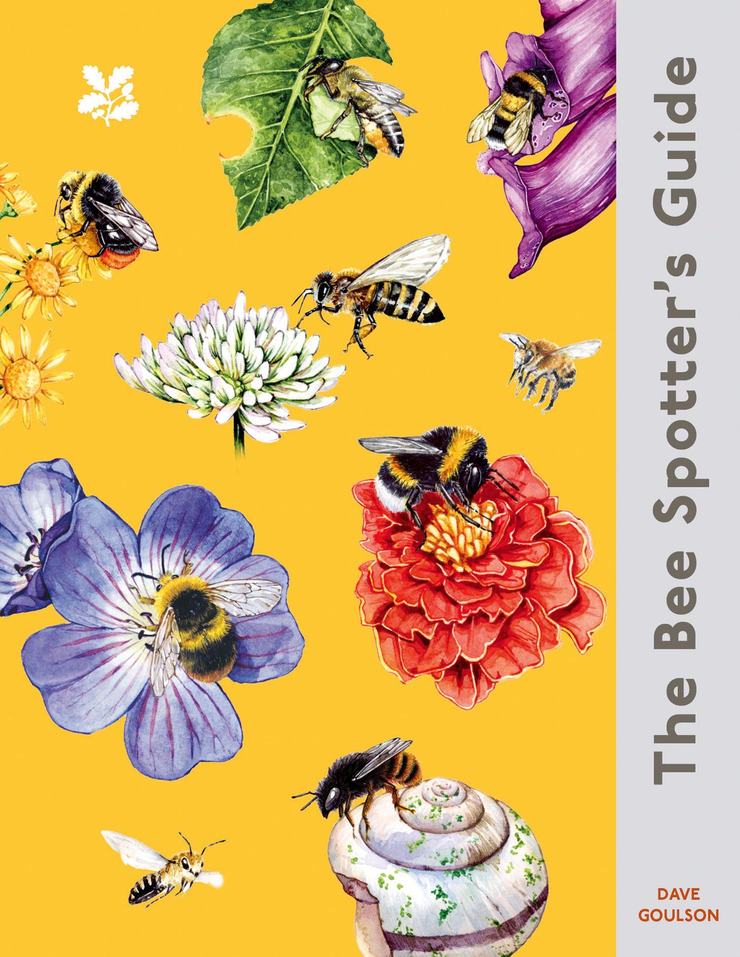 Vorderes Coverbild The Bee Spotter's Guide
