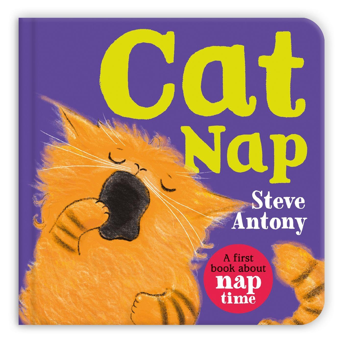 Vorderes Coverbild Cat Nap