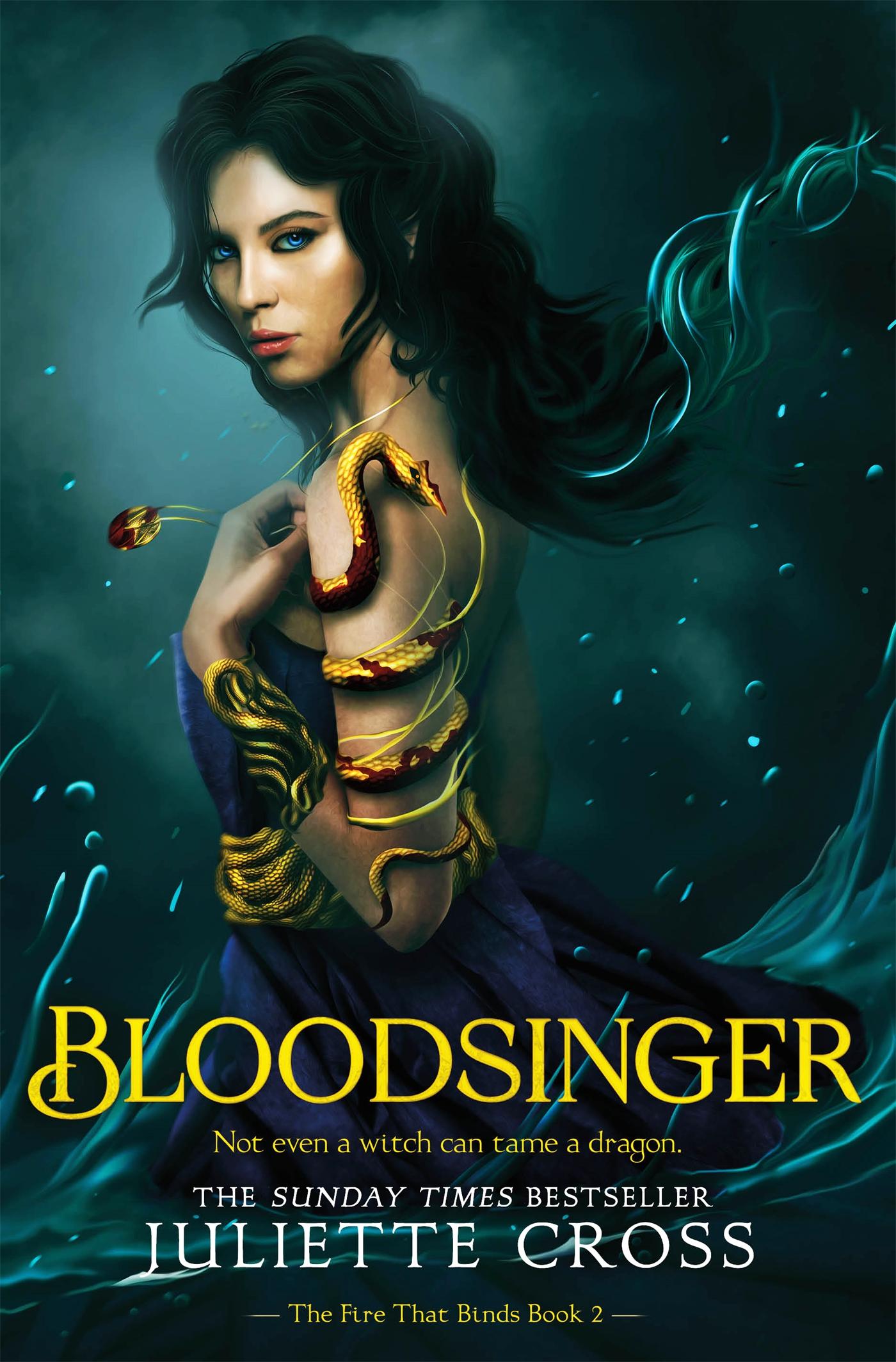Vorderes Coverbild Bloodsinger