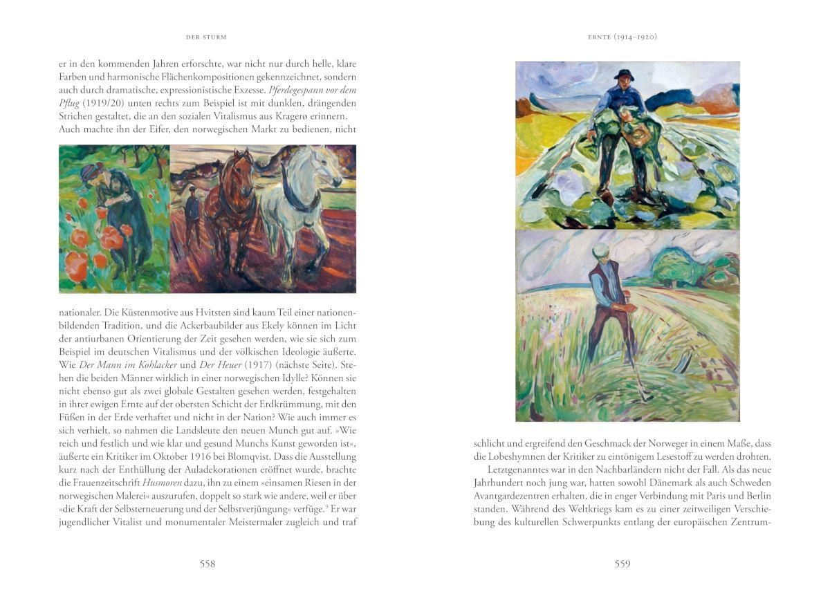 Beispielinhalt (Bild) Der Sturm. Eine Biografie über Edvard Munch