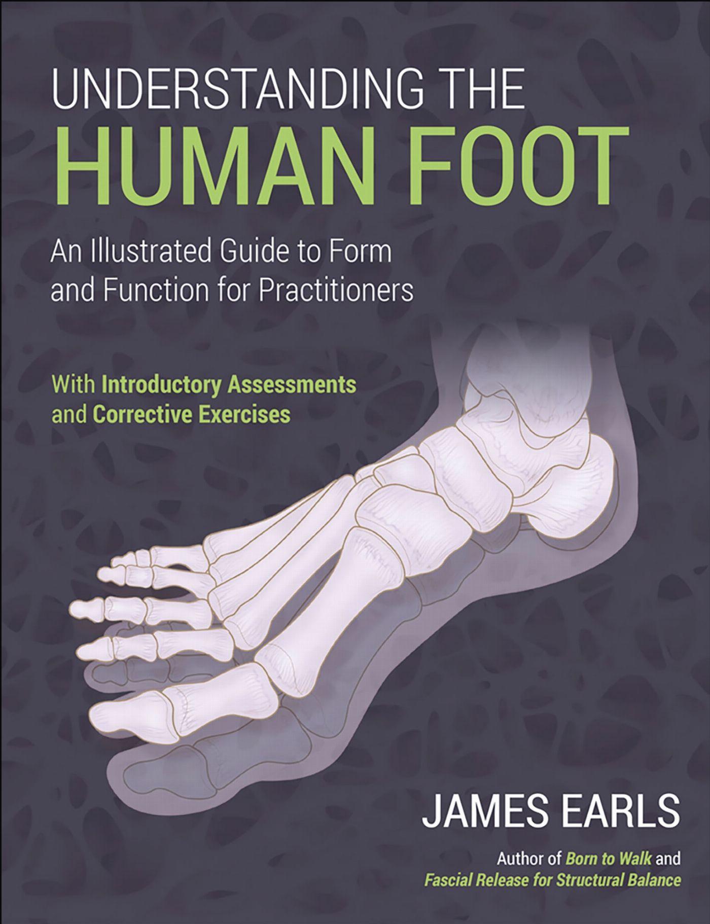 Vorderes Coverbild Understanding the Human Foot