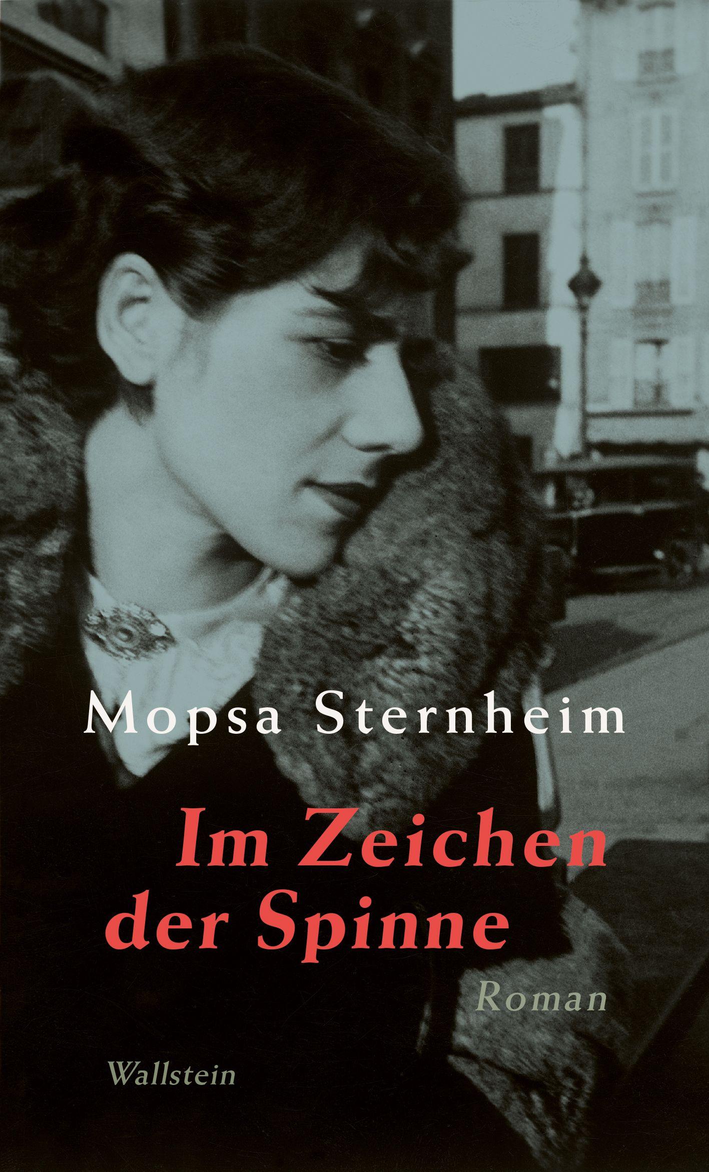 Vorderes Coverbild Im Zeichen der Spinne