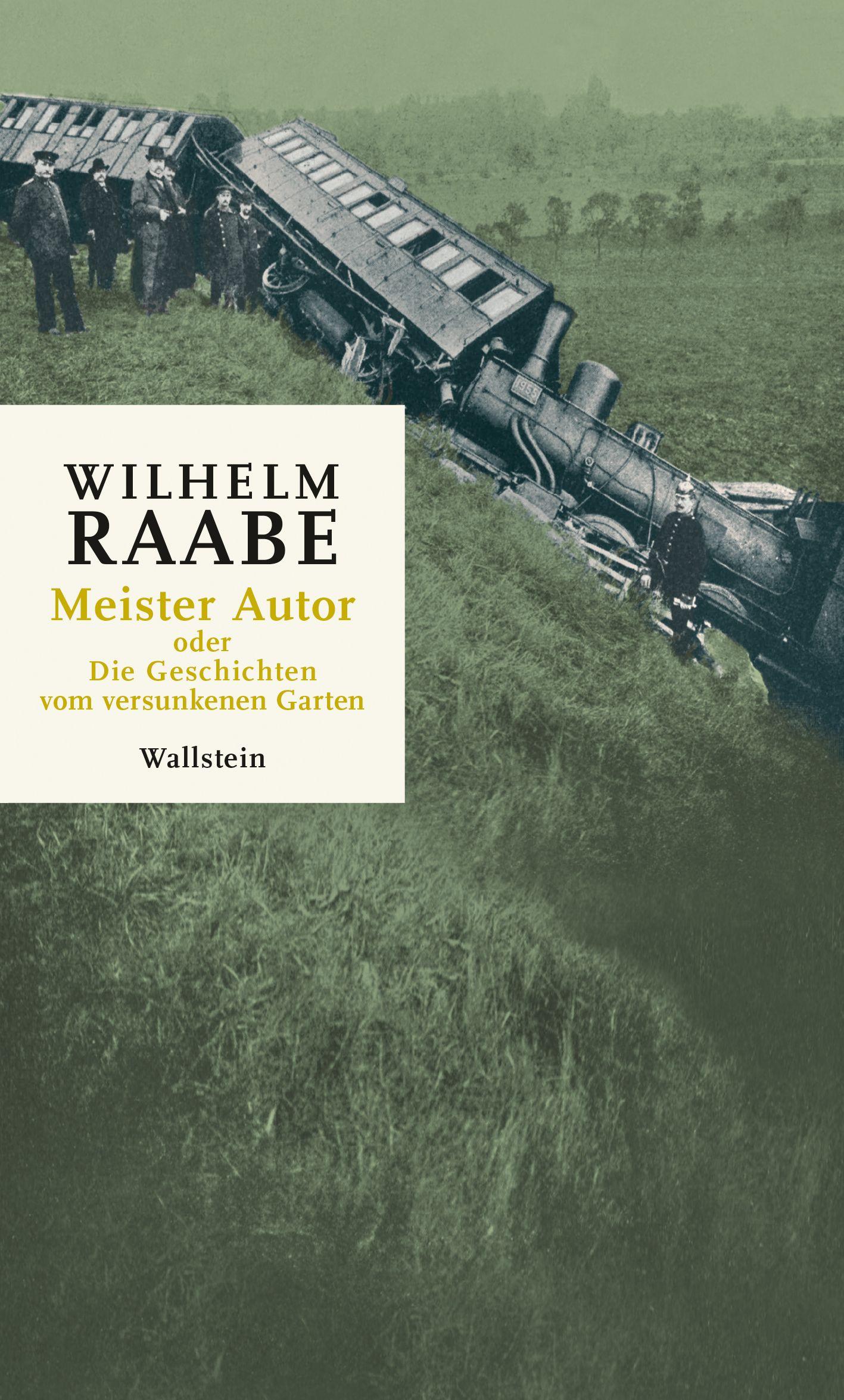Vorderes Coverbild Meister Autor
