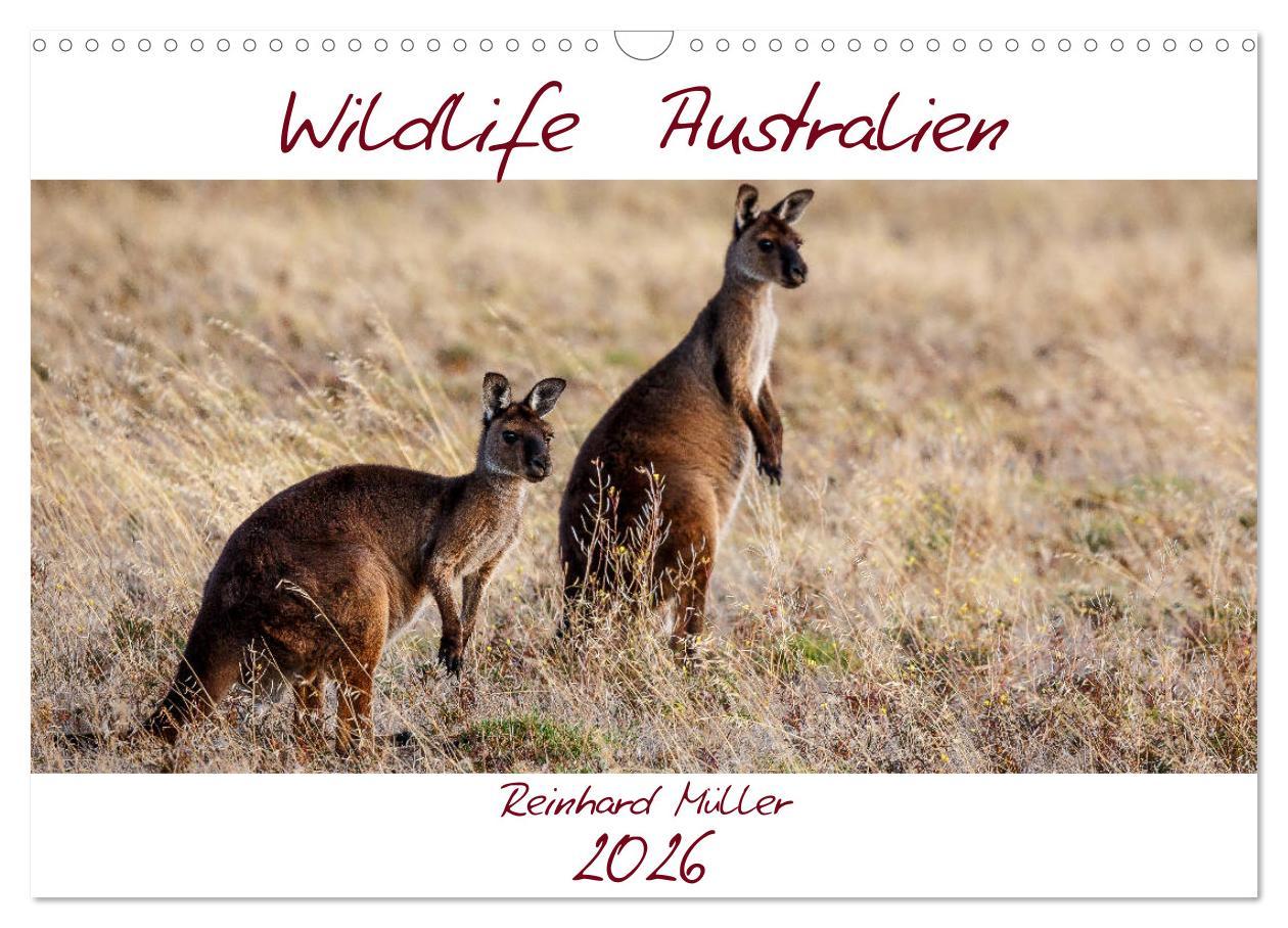 Vorderes Coverbild Wildlife Australien (Wandkalender 2026 DIN A3 quer), CALVENDO Monatskalender