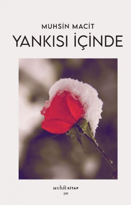 Vorderes Coverbild Yankisi Icinde