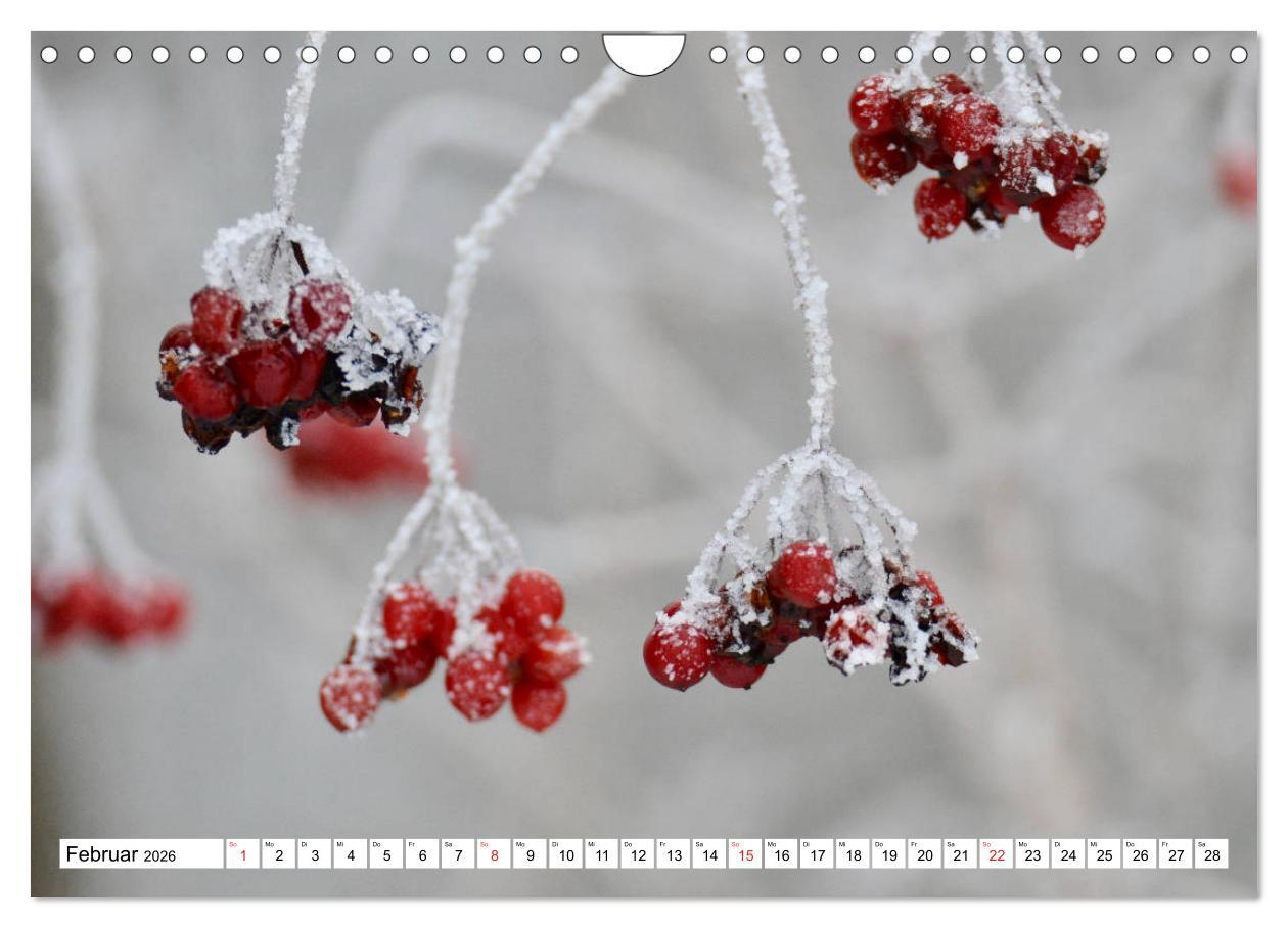 Beispielinhalt (Bild) Zauberhaftes Mangfalltal (Wandkalender 2026 DIN A4 quer), CALVENDO Monatskalender