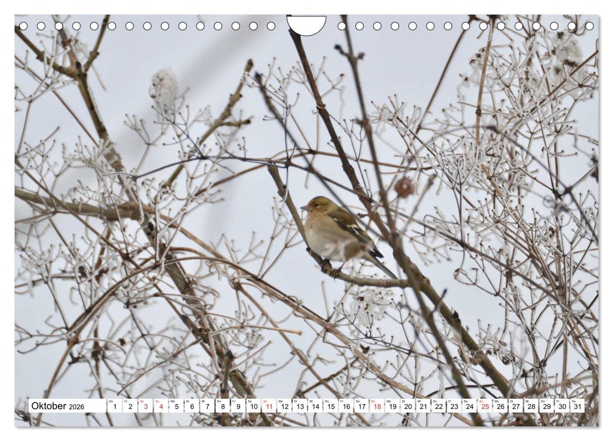 Beispielinhalt (Bild) Zauberhaftes Mangfalltal (Wandkalender 2026 DIN A4 quer), CALVENDO Monatskalender