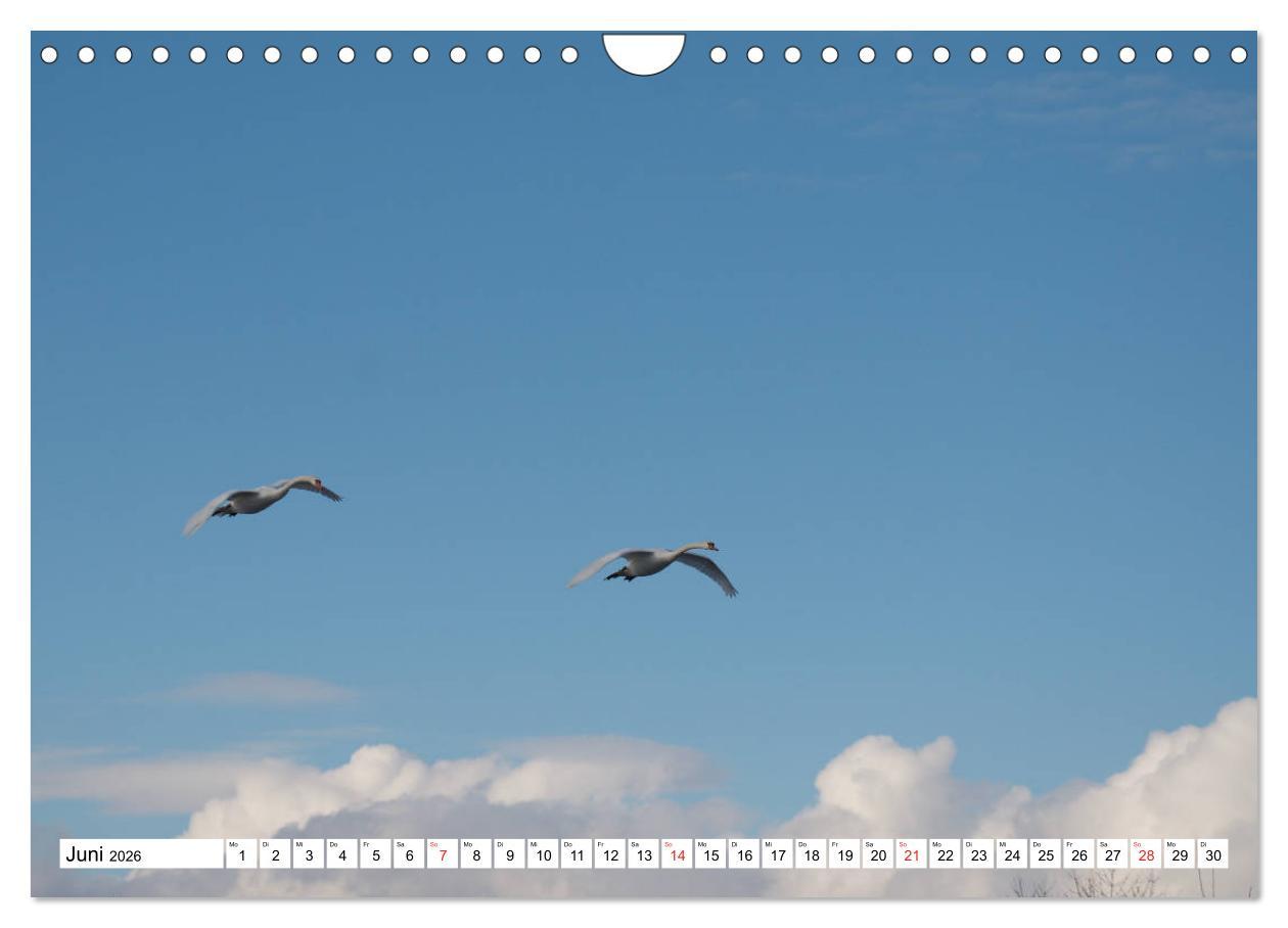 Beispielinhalt (Bild) Zauberhaftes Mangfalltal (Wandkalender 2026 DIN A4 quer), CALVENDO Monatskalender