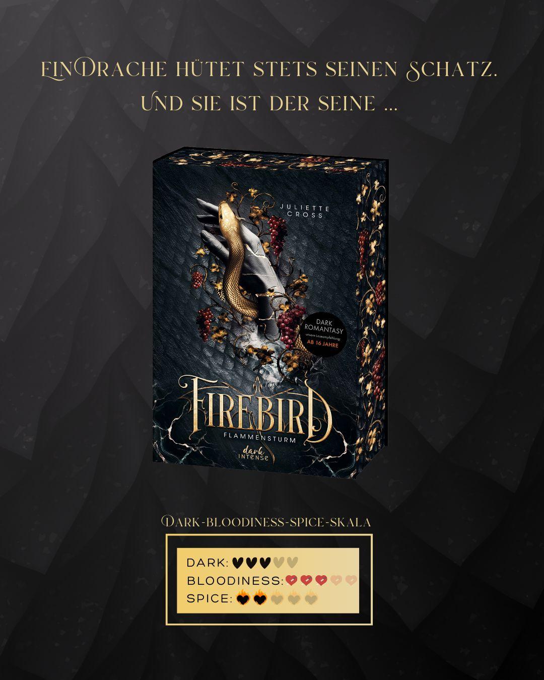 Beispielinhalt (Bild) Flammensturm (Band 1) - Firebird