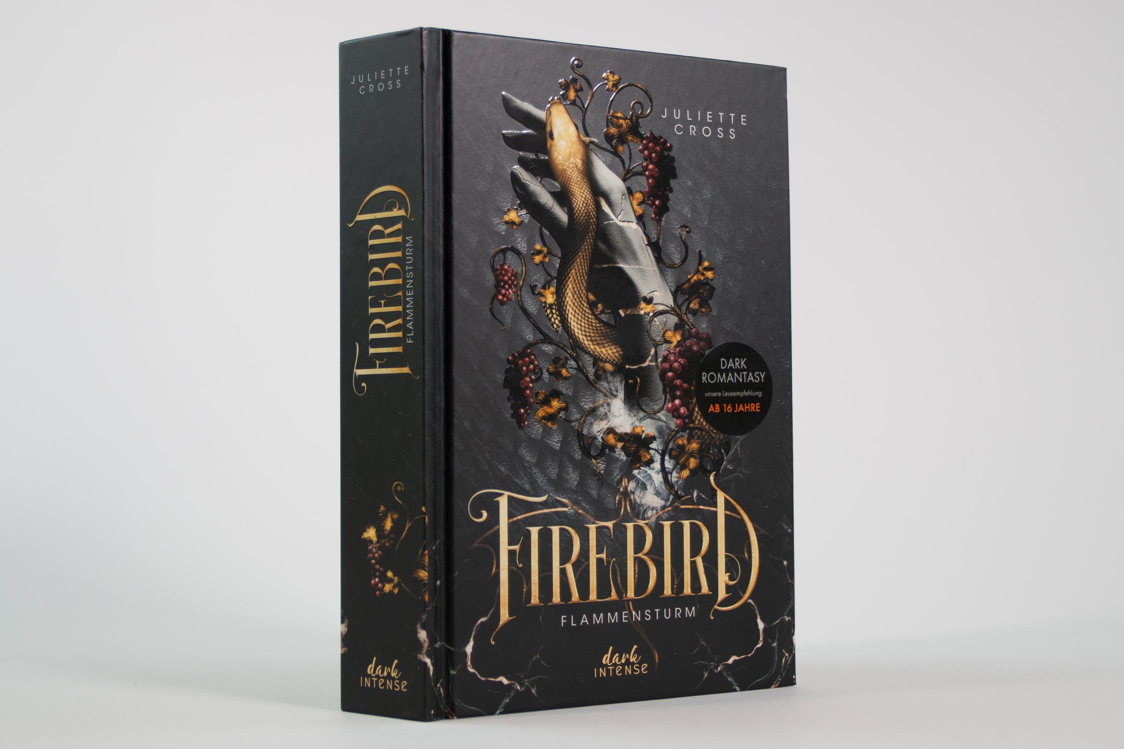 Beispielinhalt (Bild) Flammensturm (Band 1) - Firebird