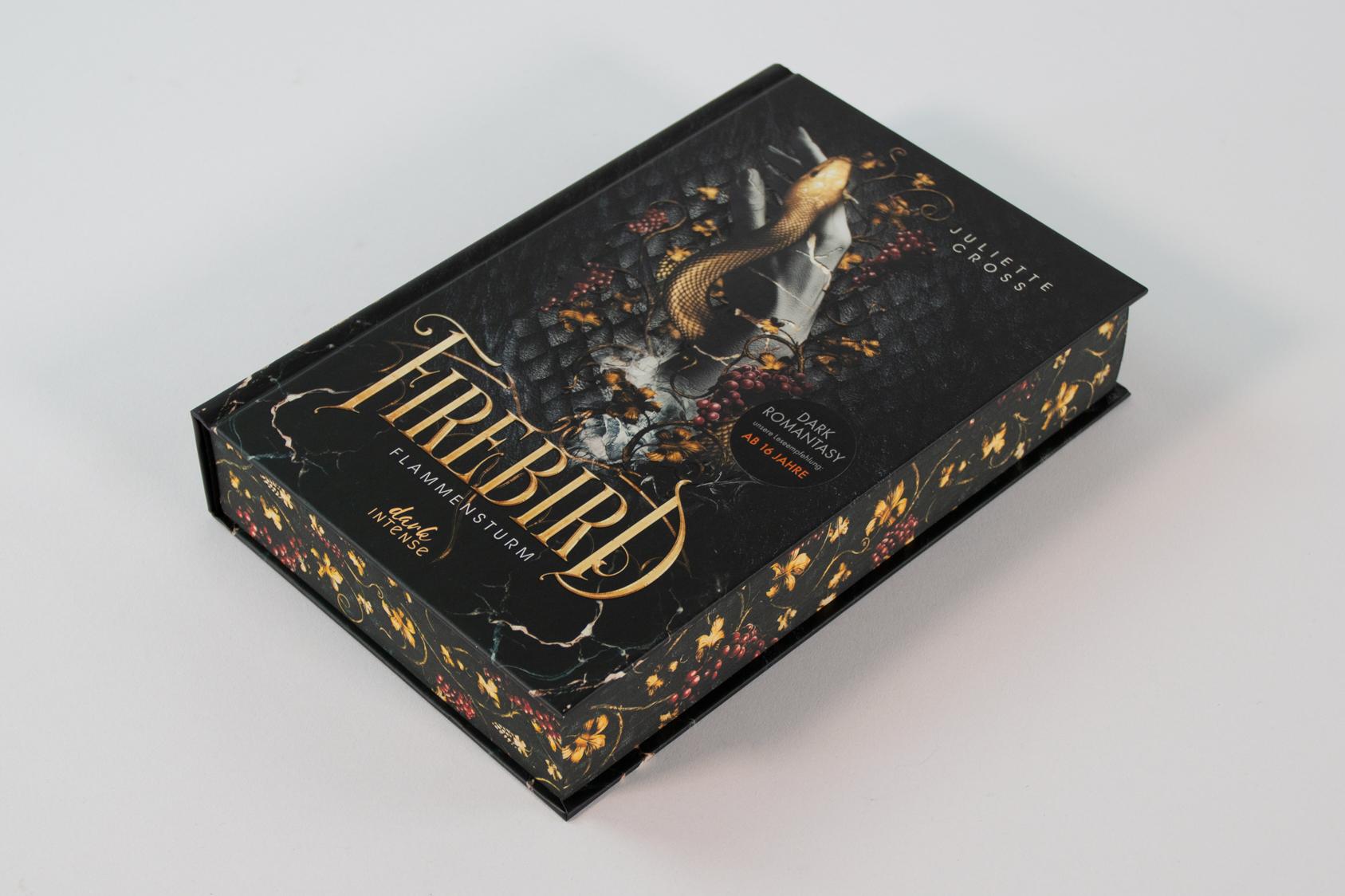 Beispielinhalt (Bild) Flammensturm (Band 1) - Firebird