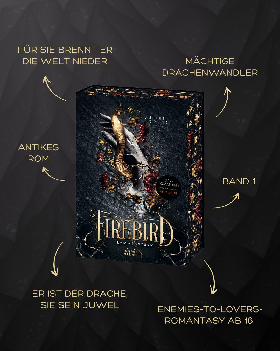 Beispielinhalt (Bild) Flammensturm (Band 1) - Firebird