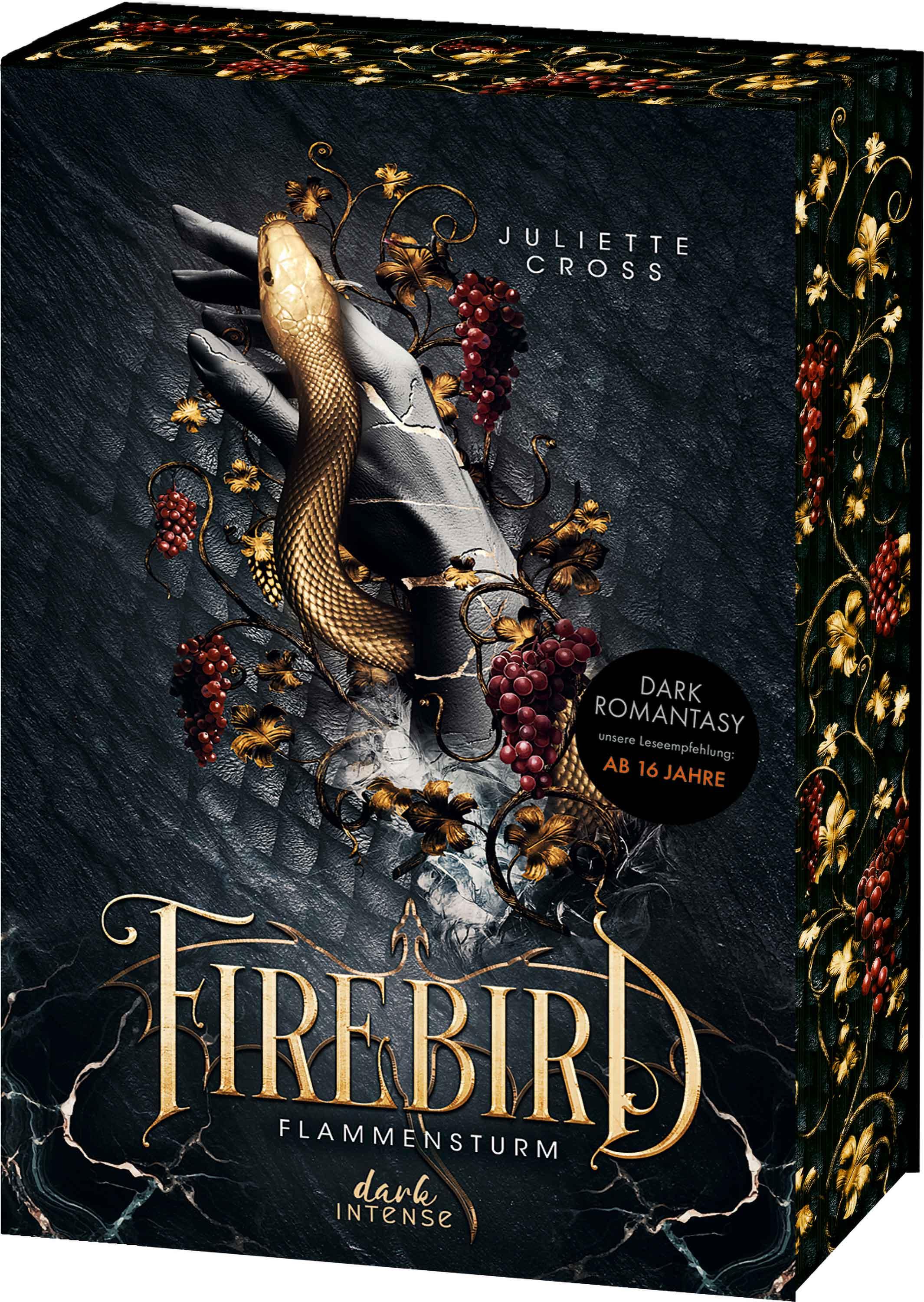 Vorderes Coverbild Flammensturm (Band 1) - Firebird