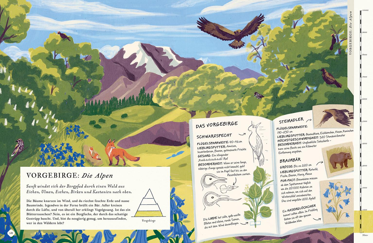 Beispielinhalt (Bild) Besteige den Berg in diesem Buch