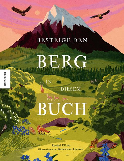 Vorderes Coverbild Besteige den Berg in diesem Buch