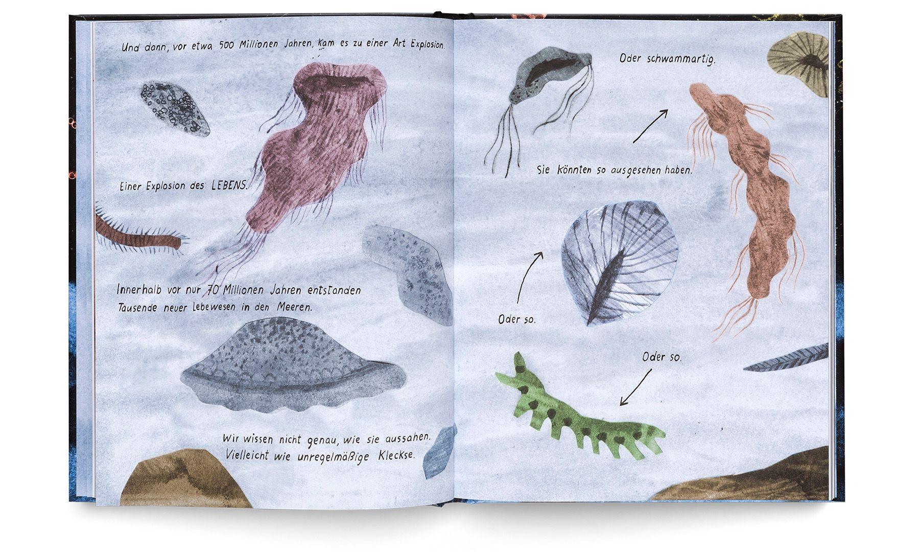 Beispielinhalt (Bild) Was wir über Leben auf der Erde wissen. Urknall, Weltall und wir alle.