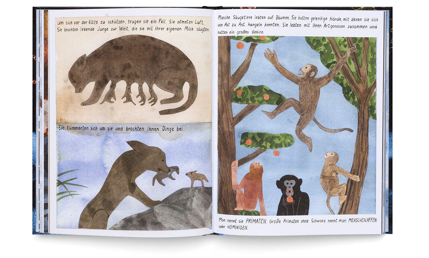 Beispielinhalt (Bild) Was wir über Leben auf der Erde wissen. Urknall, Weltall und wir alle.