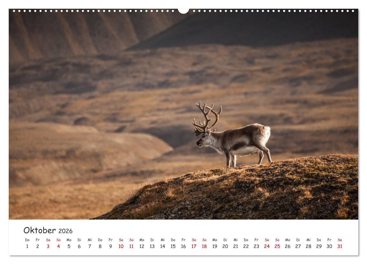 Beispielinhalt (Bild) Rentiere (hochwertiger Premium Wandkalender 2026 DIN A2 quer), Kunstdruck in Hochglanz
