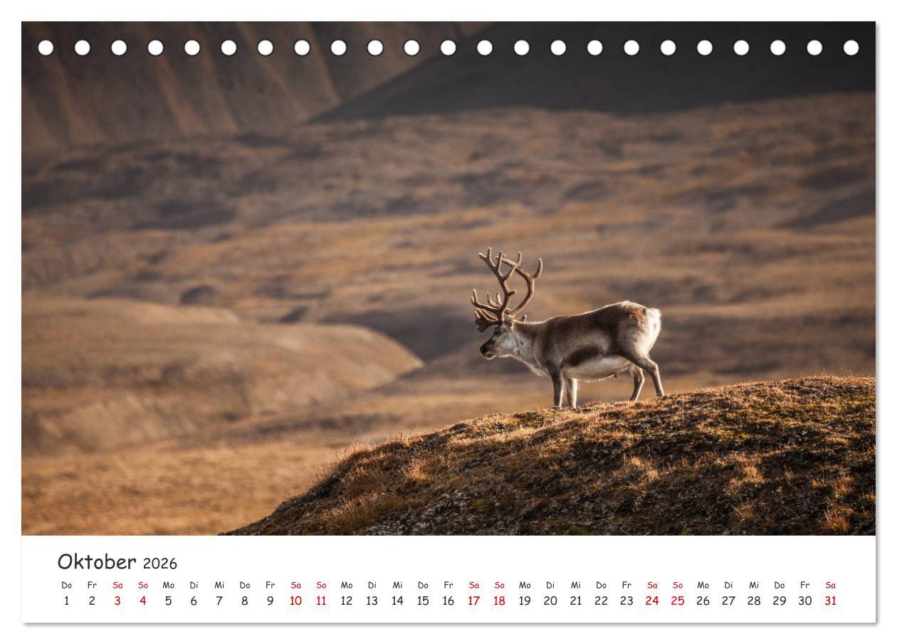 Beispielinhalt (Bild) Rentiere (Tischkalender 2026 DIN A5 quer), CALVENDO Monatskalender