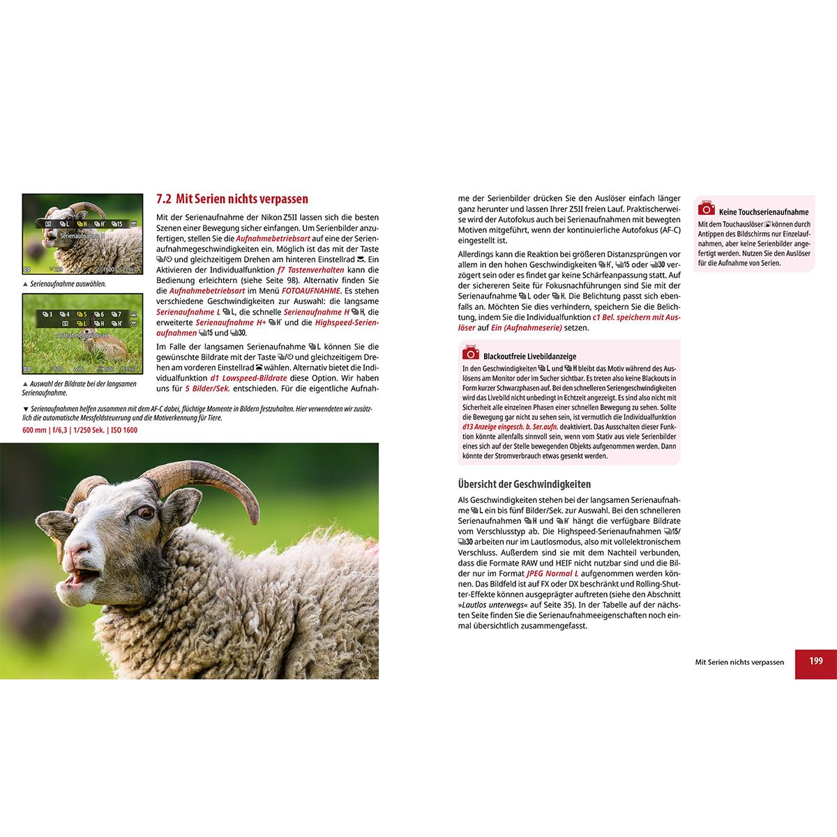 Beispielinhalt (Bild) Nikon Z5II: Das umfangreiche Praxisbuch zu Ihrer Kamera