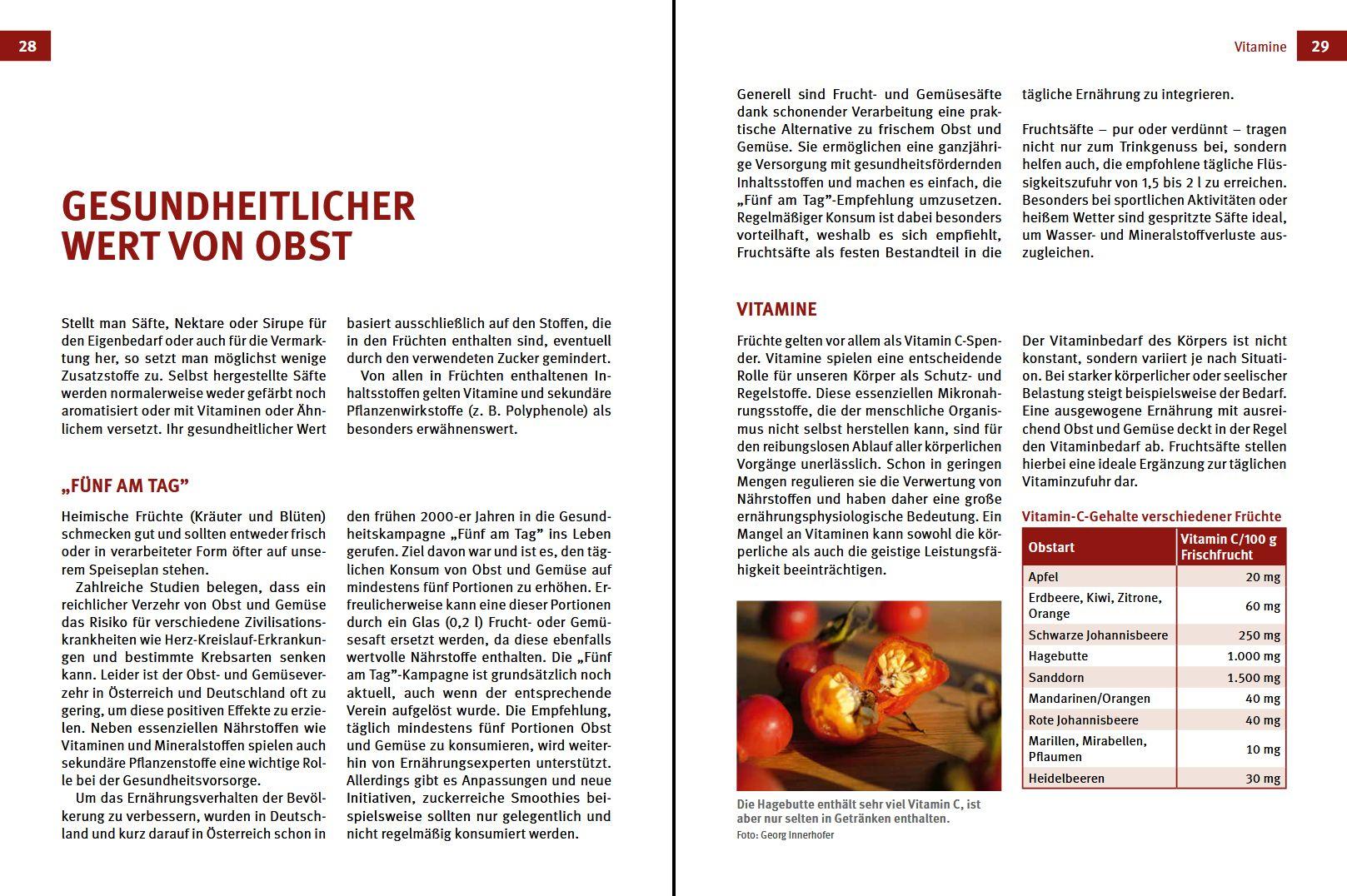 Beispielinhalt (Bild) Obstsäfte, Sirup & Nektar