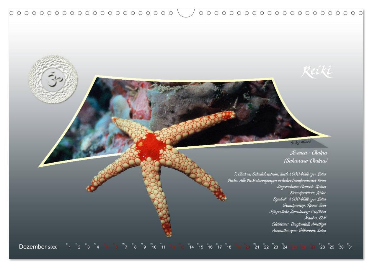 Beispielinhalt (Bild) REIKI - Chakren und Lebensregeln (Wandkalender 2026 DIN A3 quer), CALVENDO Monatskalender