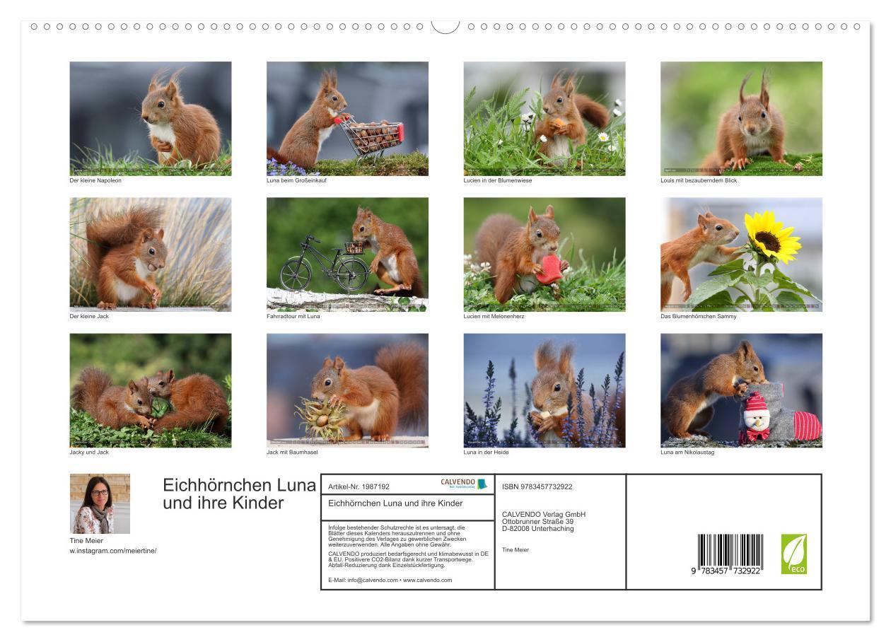Beispielinhalt (Bild) Eichhörnchen Luna und ihre Kinder (hochwertiger Premium Wandkalender 2026 DIN A2 quer), Kunstdruck in Hochglanz