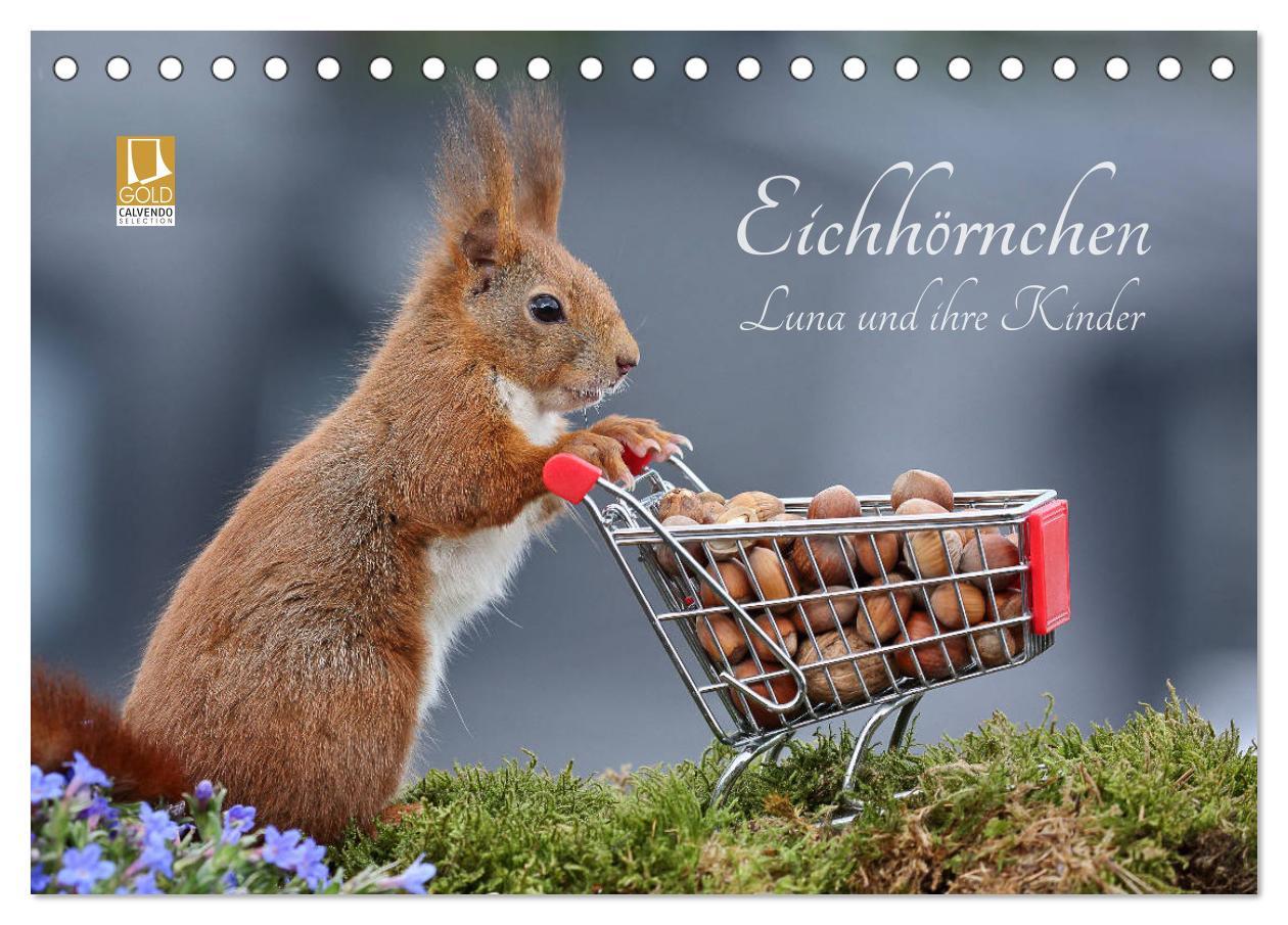Vorderes Coverbild Eichhörnchen Luna und ihre Kinder (Tischkalender 2026 DIN A5 quer), CALVENDO Monatskalender