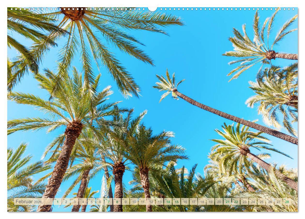 Beispielinhalt (Bild) Oben - Bilder aus der Froschperspektive (Wandkalender 2026 DIN A2 quer), CALVENDO Monatskalender