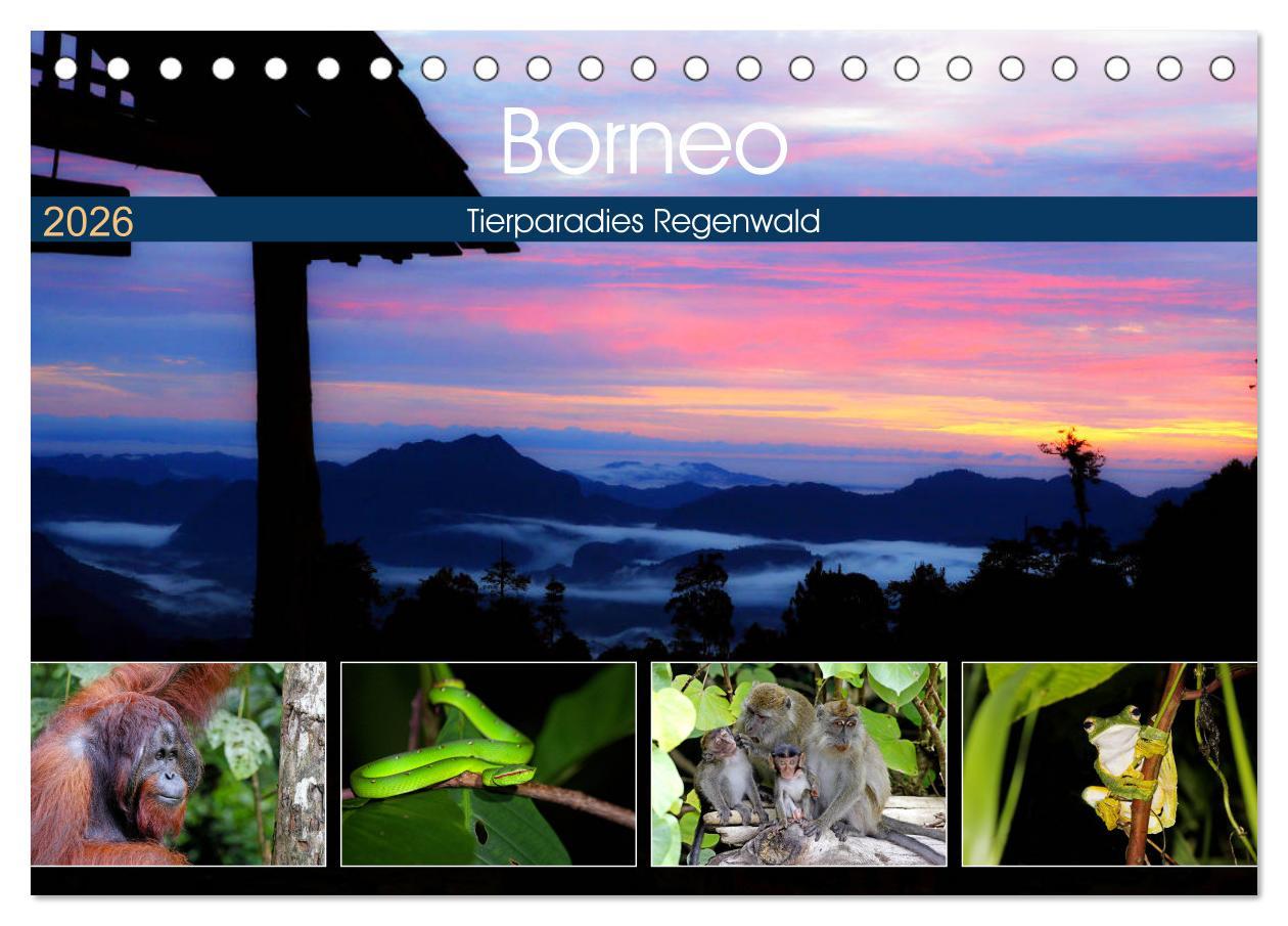 Vorderes Coverbild Borneo - Tierparadies Regenwald (Tischkalender 2026 DIN A5 quer), CALVENDO Monatskalender