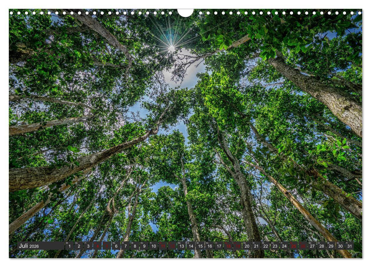 Beispielinhalt (Bild) Karibu Sansibar (Wandkalender 2026 DIN A3 quer), CALVENDO Monatskalender