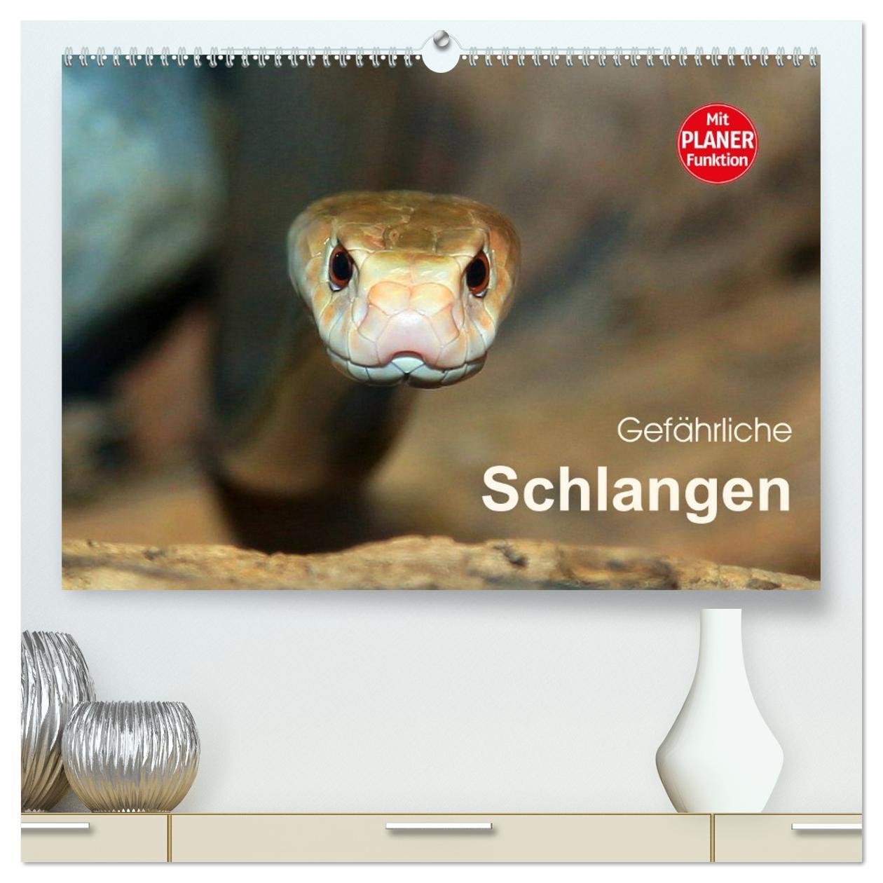 Vorderes Coverbild Gefährliche Schlangen (hochwertiger Premium Wandkalender 2026 DIN A2 quer), Kunstdruck in Hochglanz