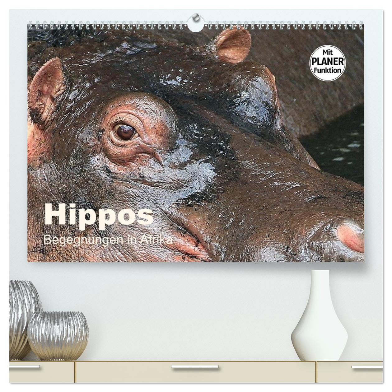 Vorderes Coverbild Hippos - Begegnungen in Afrika (hochwertiger Premium Wandkalender 2026 DIN A2 quer), Kunstdruck in Hochglanz