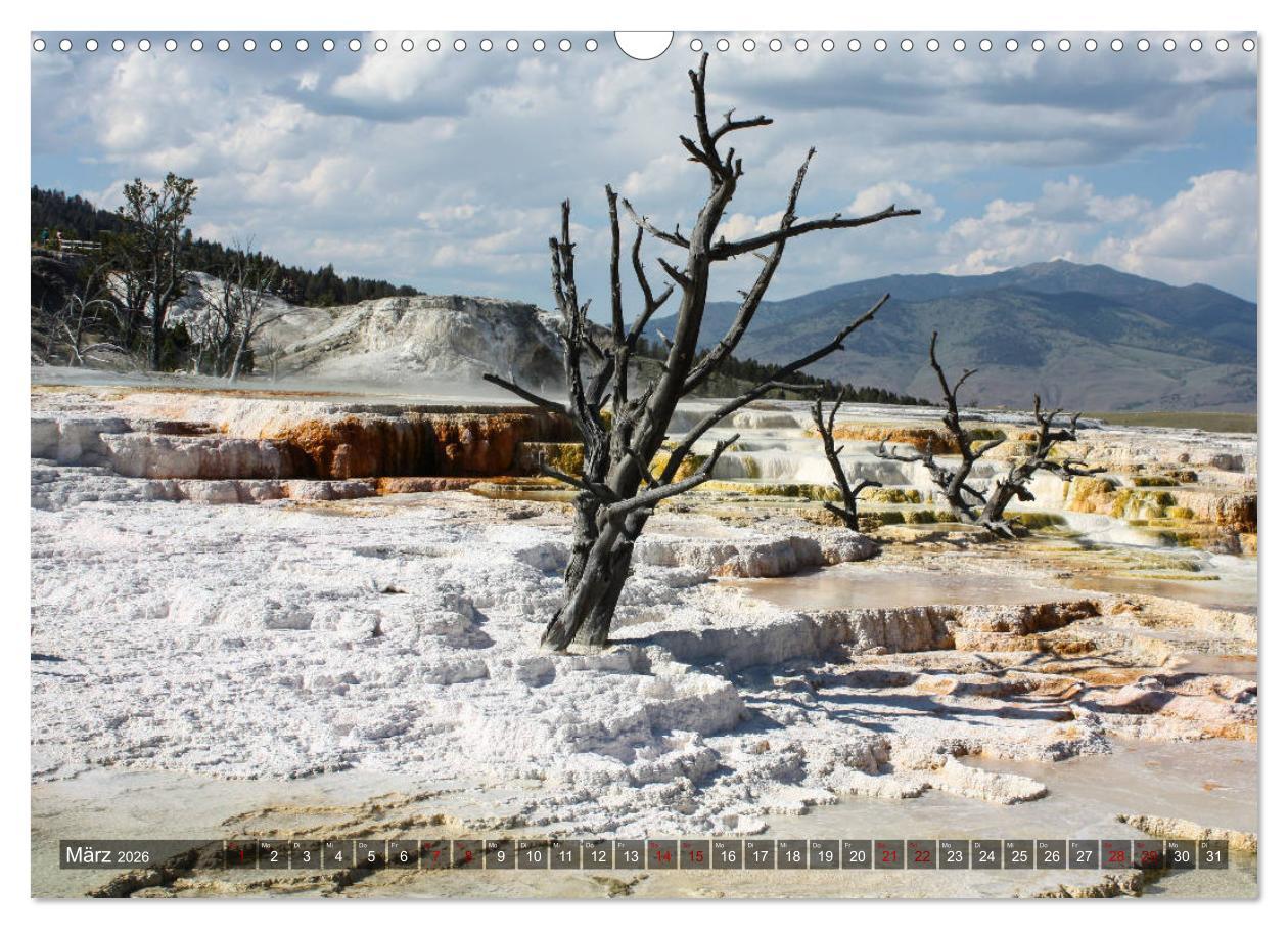 Beispielinhalt (Bild) Farben des Yellowstone National Park 2026 (Wandkalender 2026 DIN A3 quer), CALVENDO Monatskalender