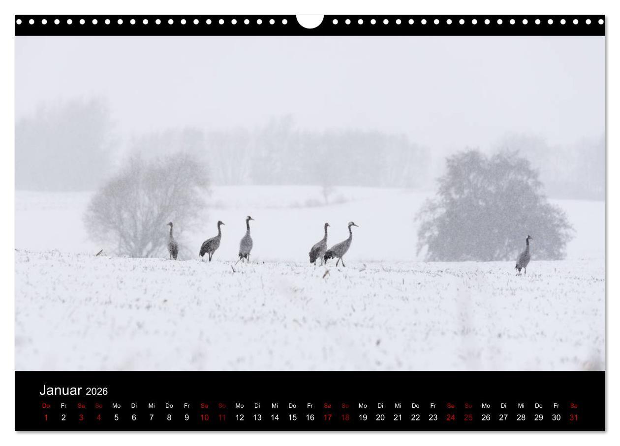 Beispielinhalt (Bild) Naturwunder Norddeutschlands (Wandkalender 2026 DIN A3 quer), CALVENDO Monatskalender