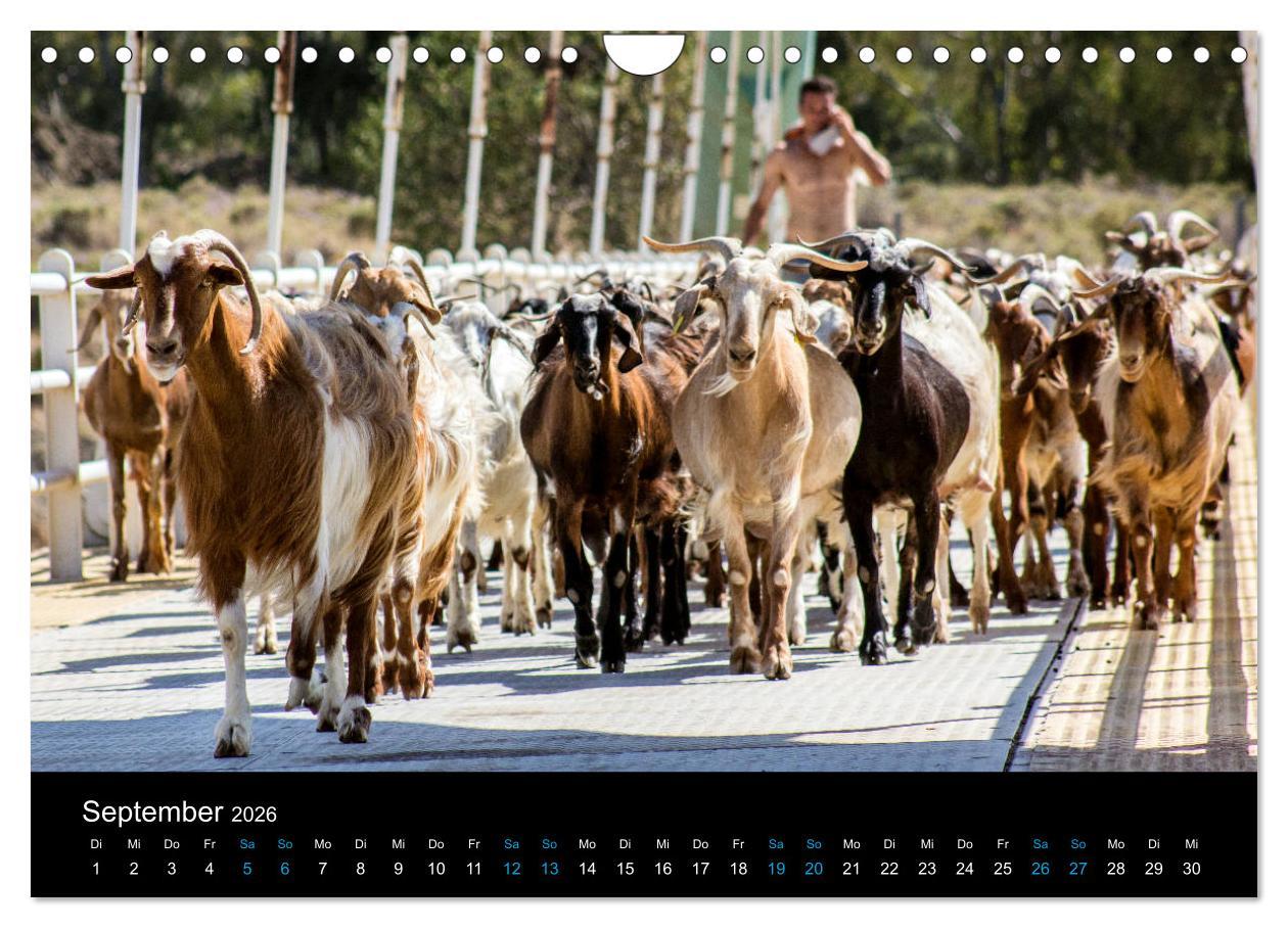 Beispielinhalt (Bild) Peloponnes, Griechisches Urgestein von grandioser Schönheit. Die Regionen Argolis, Korinthia und Attika (Wandkalender 2026 DIN A4 quer), CALVENDO Monatskalender