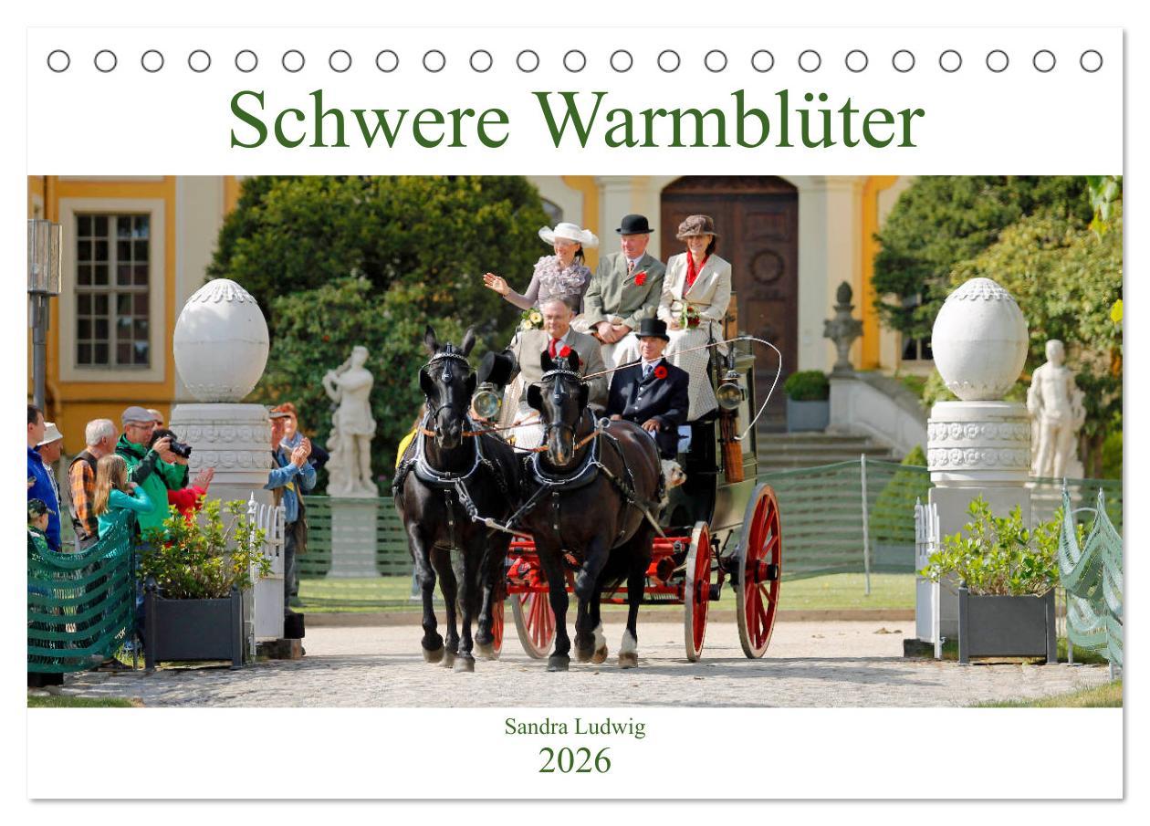 Vorderes Coverbild Schwere Warmblüter 2026 (Tischkalender 2026 DIN A5 quer), CALVENDO Monatskalender