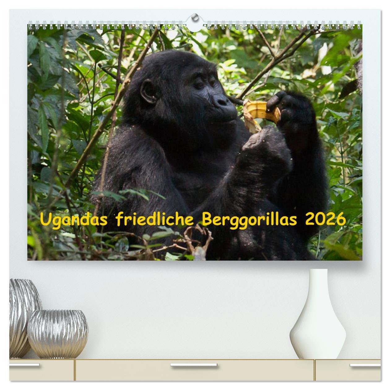 Vorderes Coverbild Ugandas friedliche Berggorillas (hochwertiger Premium Wandkalender 2026 DIN A2 quer), Kunstdruck in Hochglanz