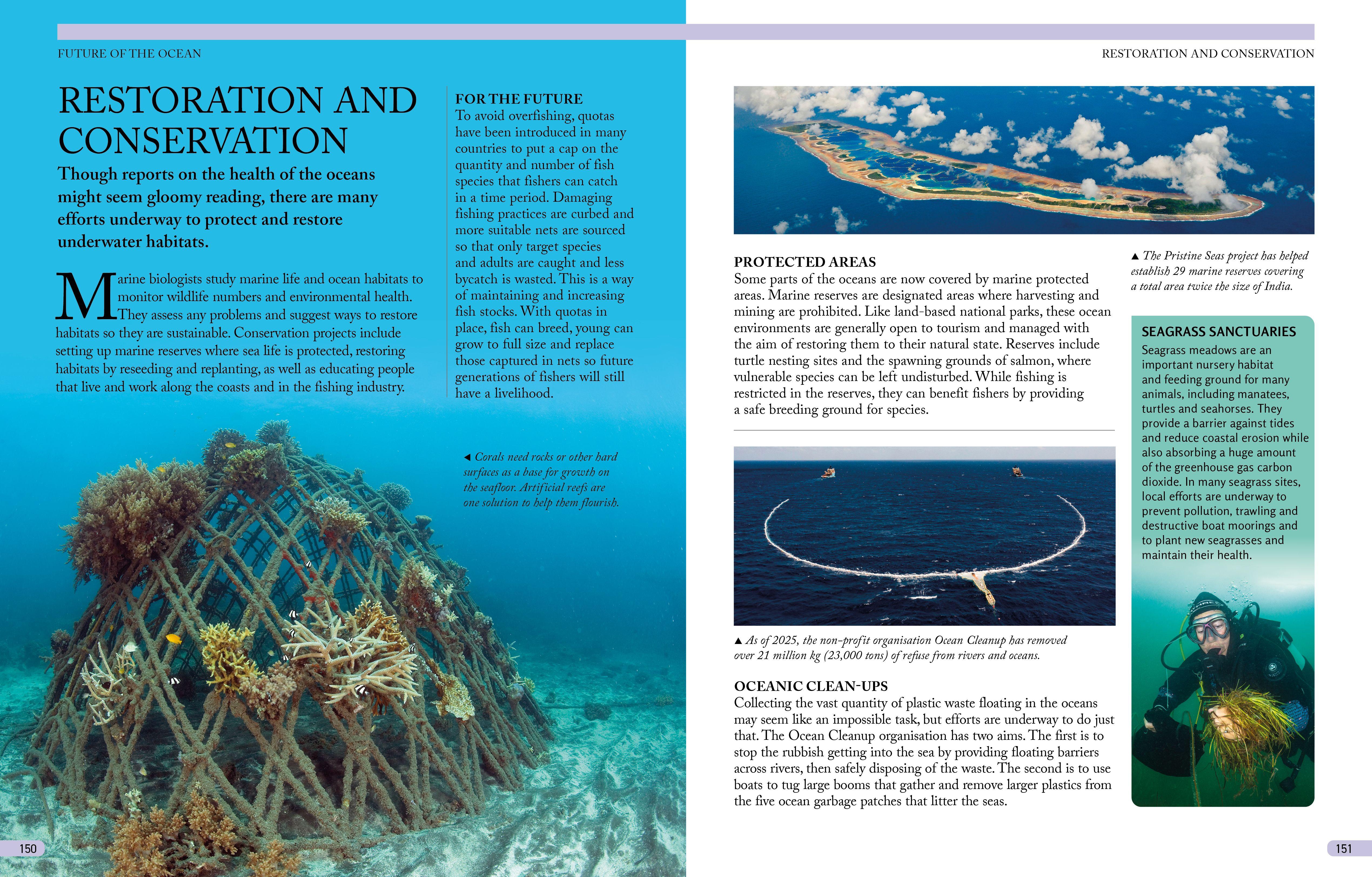 Beispielinhalt (Bild) The Kingfisher Ocean Encyclopedia