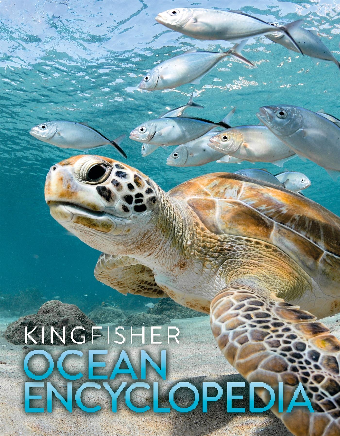 Vorderes Coverbild The Kingfisher Ocean Encyclopedia