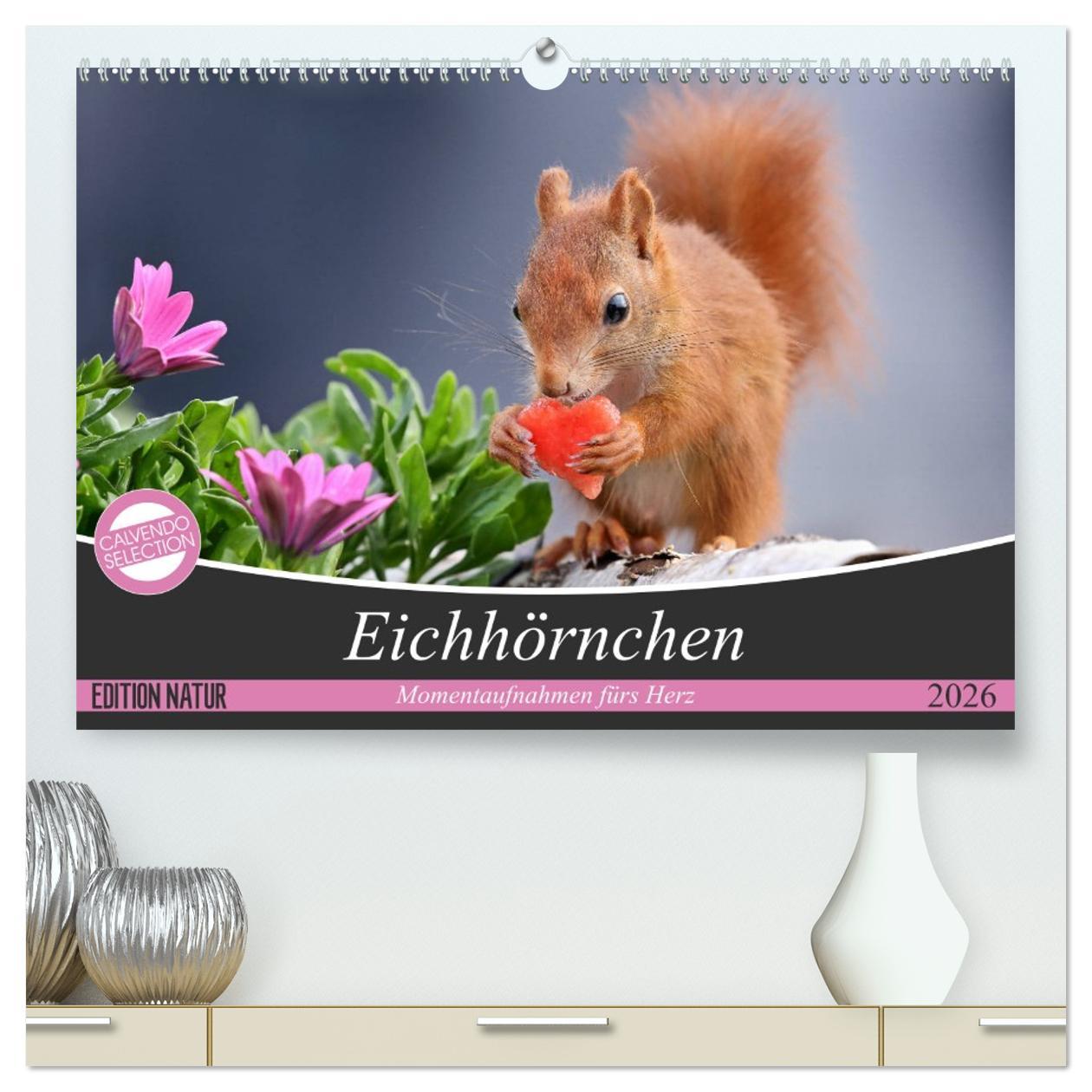 Vorderes Coverbild Eichhörnchen Momentaufnahmen fürs Herz (hochwertiger Premium Wandkalender 2026 DIN A2 quer), Kunstdruck in Hochglanz