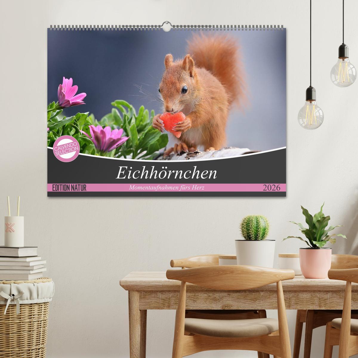 Beispielinhalt (Bild) Eichhörnchen Momentaufnahmen fürs Herz (Wandkalender 2026 DIN A2 quer), CALVENDO Monatskalender