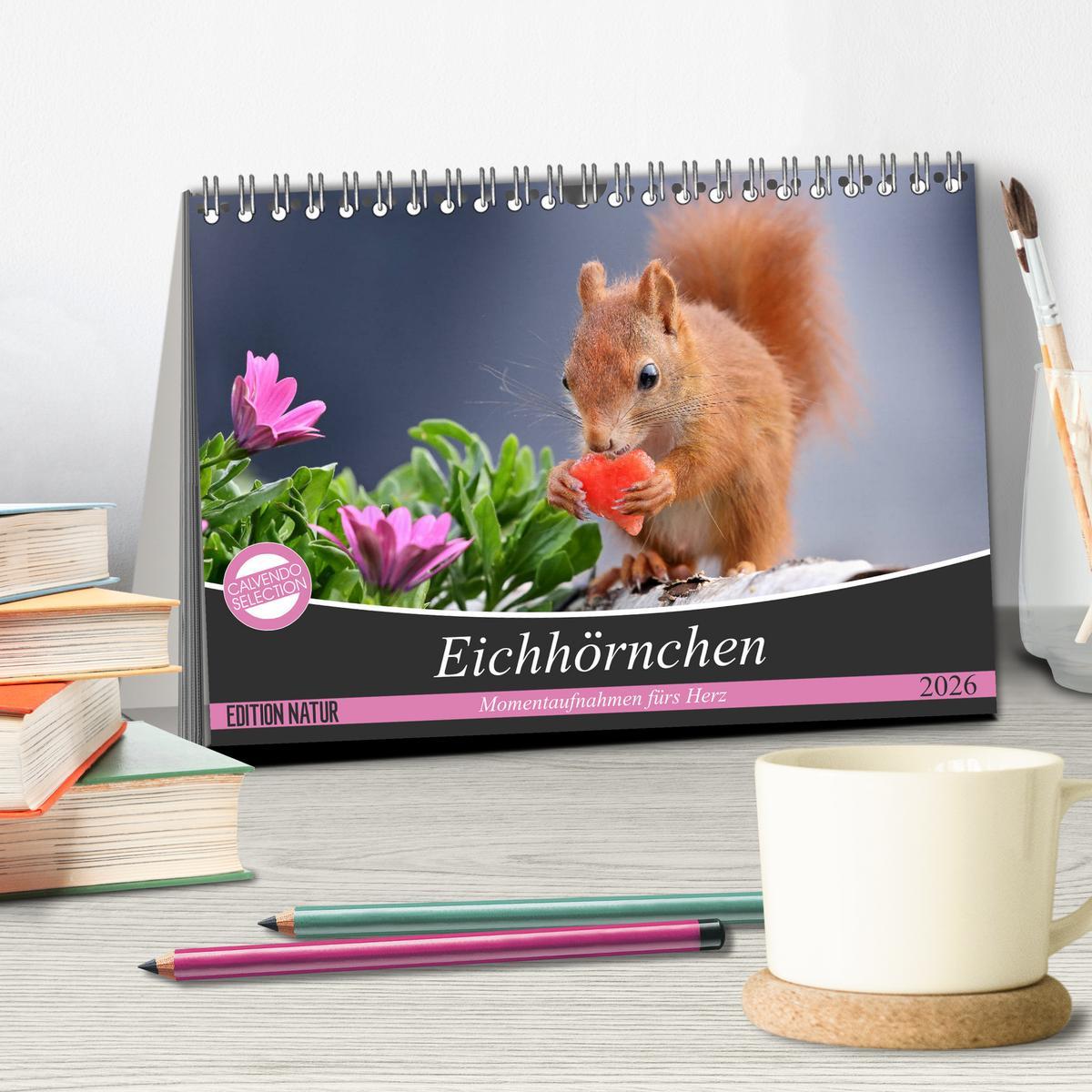 Beispielinhalt (Bild) Eichhörnchen Momentaufnahmen fürs Herz (Tischkalender 2026 DIN A5 quer), CALVENDO Monatskalender