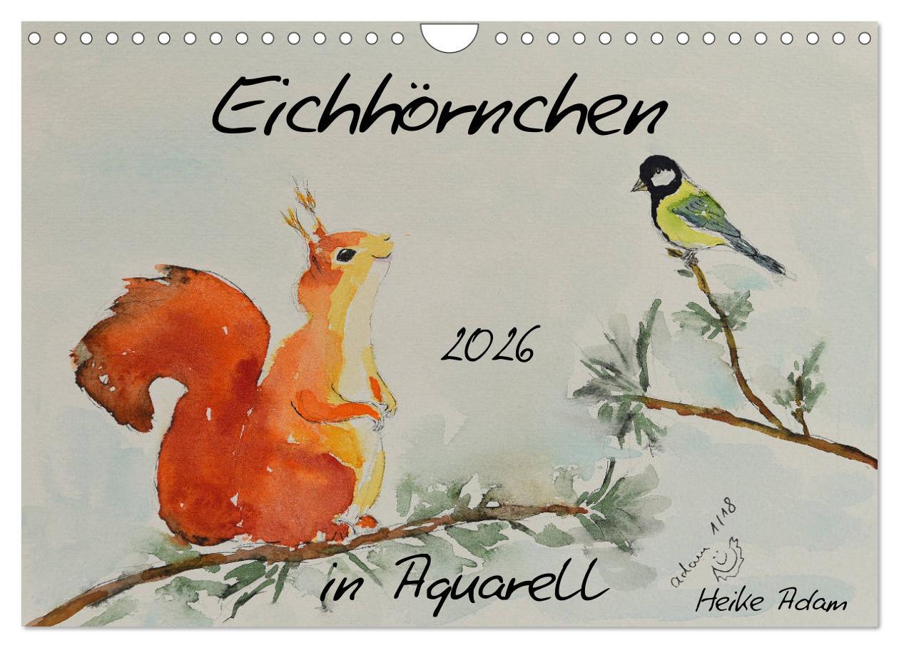 Vorderes Coverbild Eichhörnchen in Aquarell (Wandkalender 2026 DIN A4 quer), CALVENDO Monatskalender