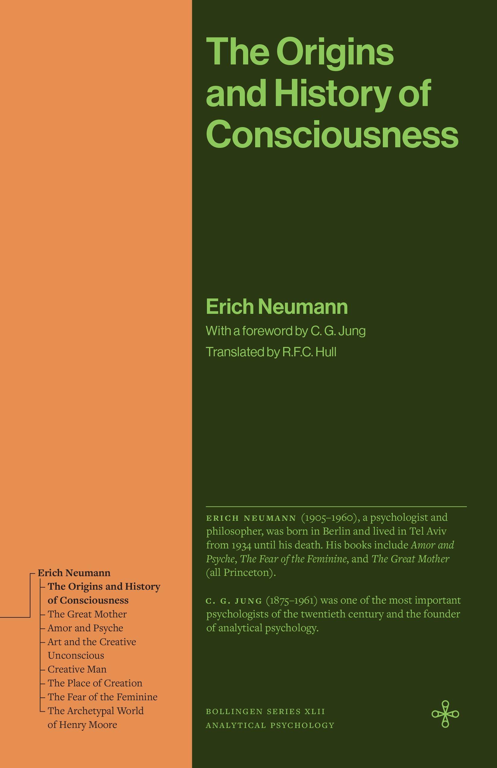 Vorderes Coverbild The Origins and History of Consciousness