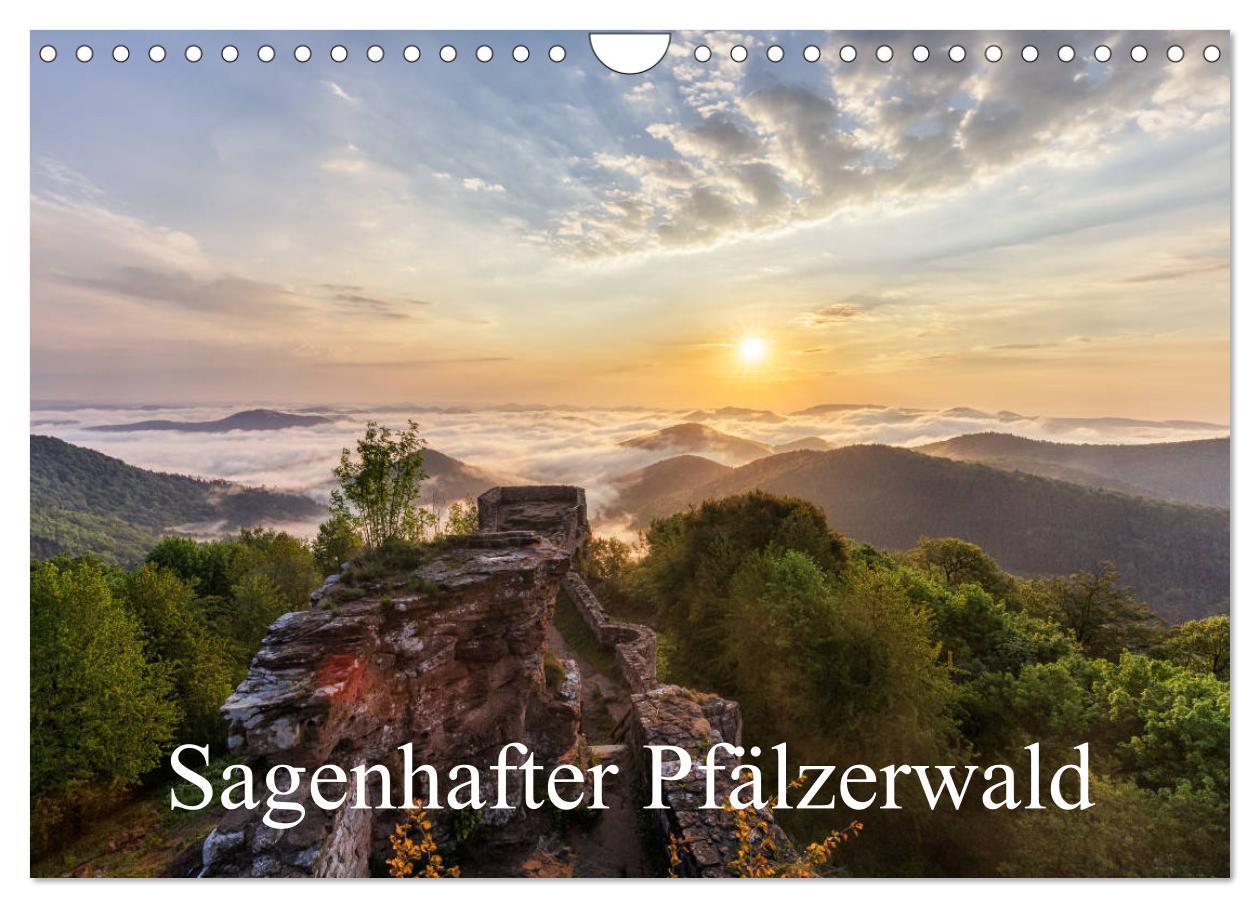 Vorderes Coverbild Sagenhafter Pfälzerwald (Wandkalender 2026 DIN A4 quer), CALVENDO Monatskalender