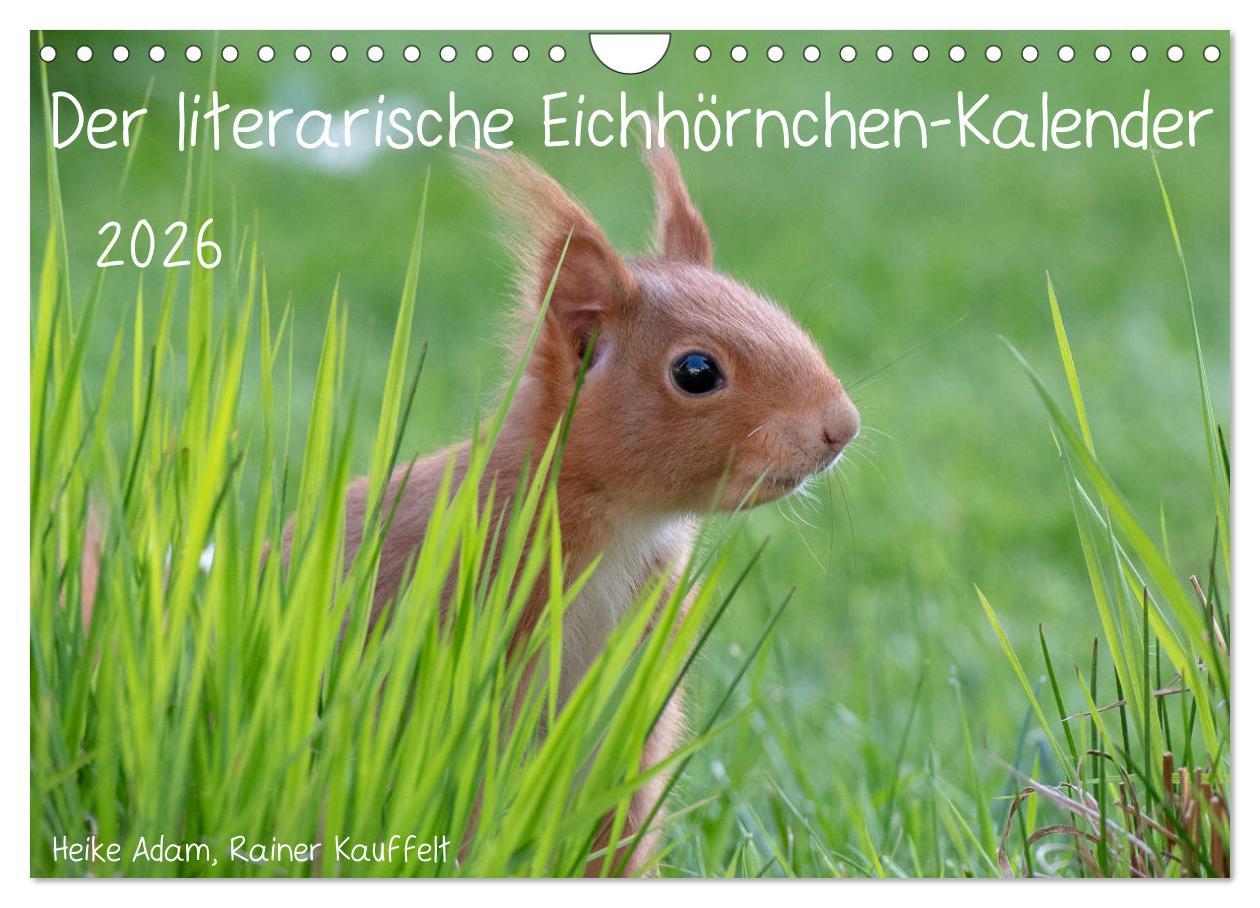 Vorderes Coverbild Der literarische Eichhörnchen-Kalender (Wandkalender 2026 DIN A4 quer), CALVENDO Monatskalender
