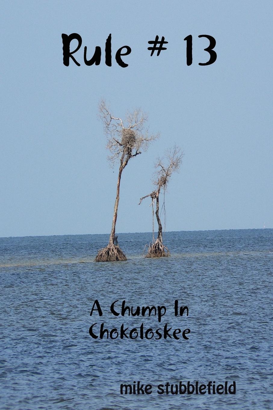 Vorderes Coverbild Rule # 13