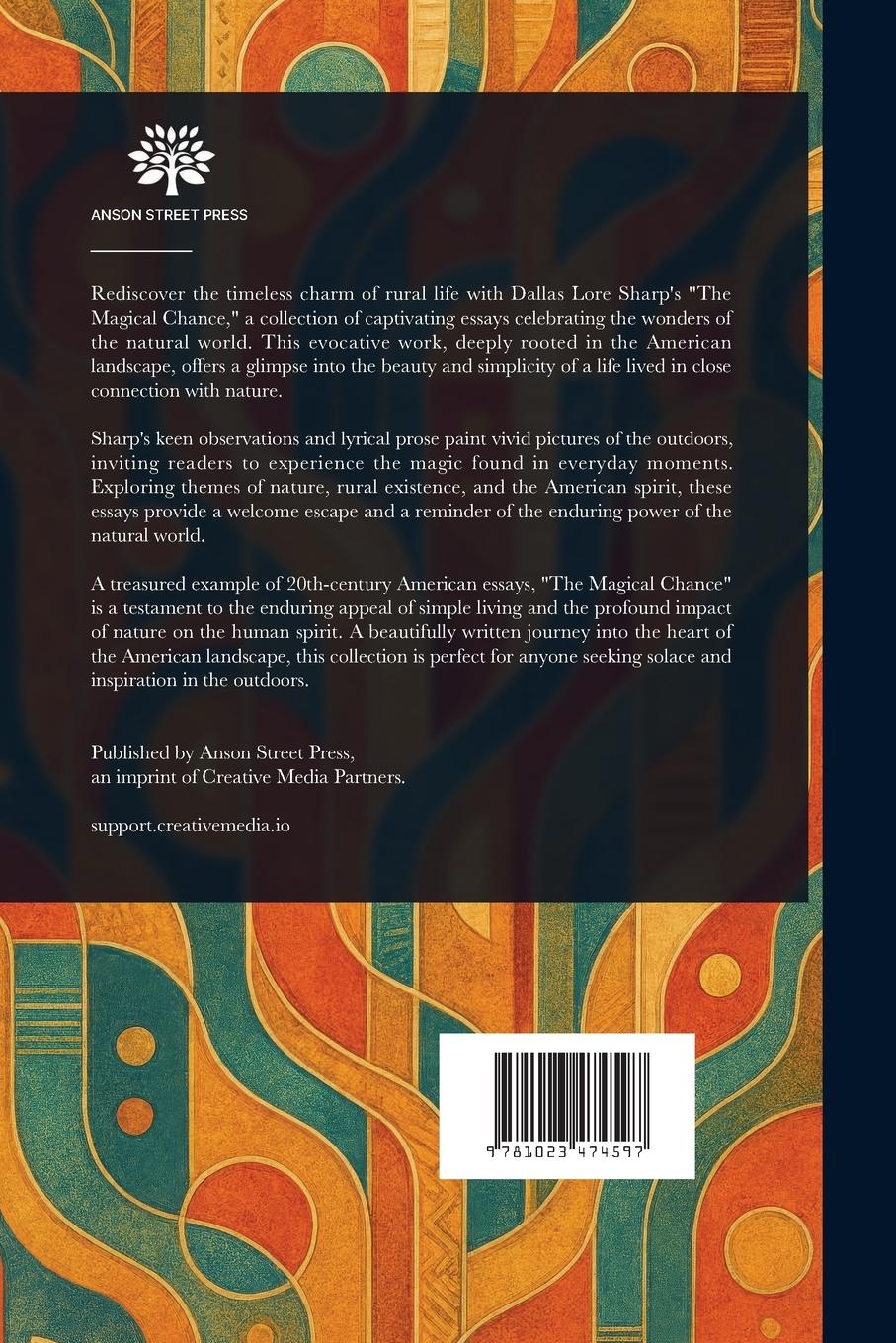 Rückseitencover The Magical Chance